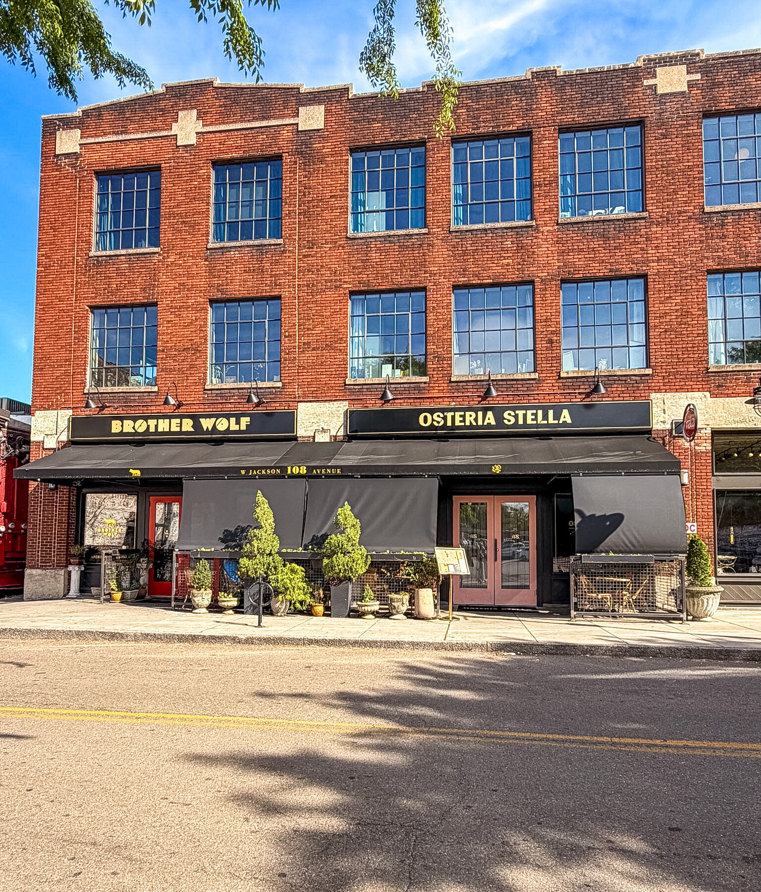 Osteria Stella Knoxville brother wold and osteria stella