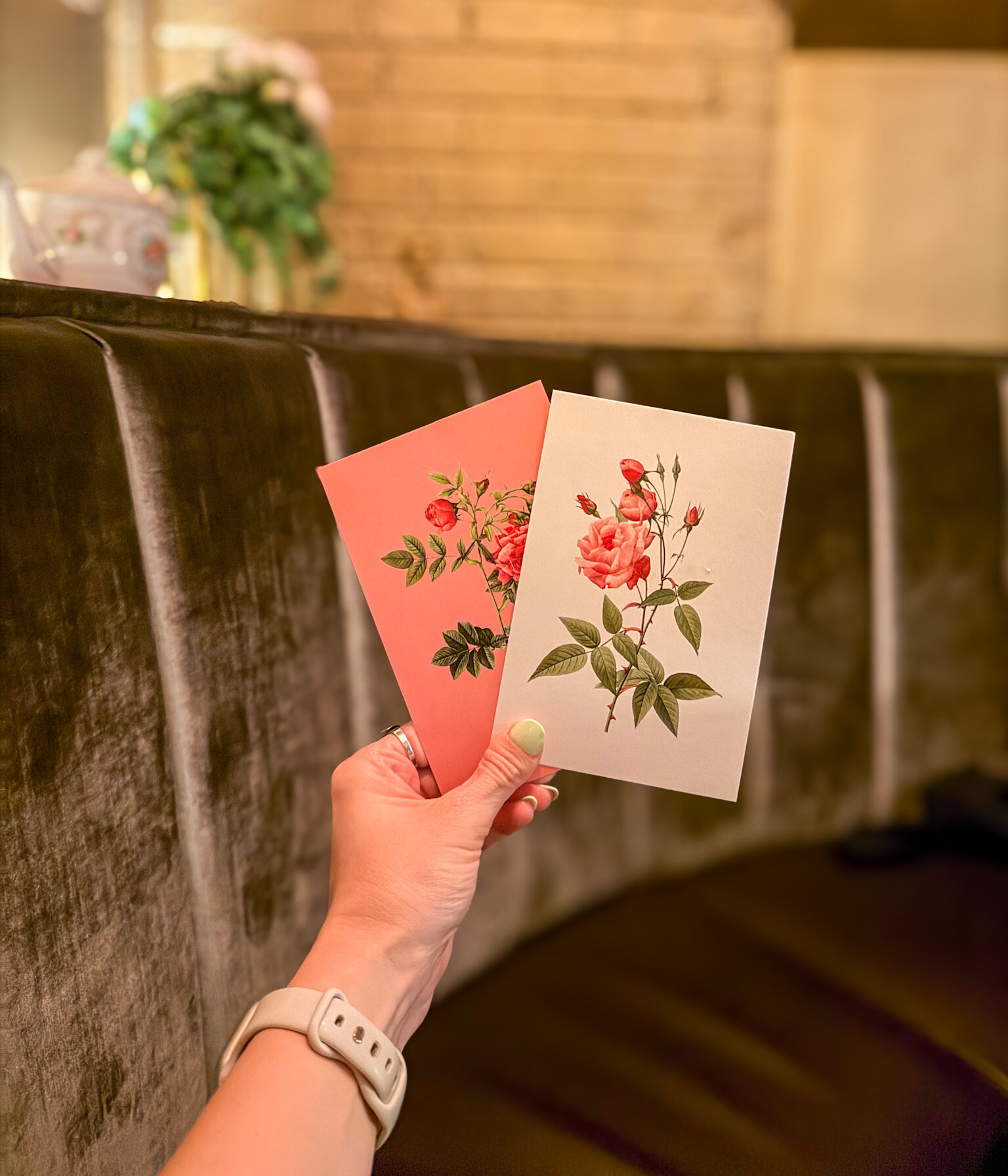 Osteria Stella Knoxville postcard