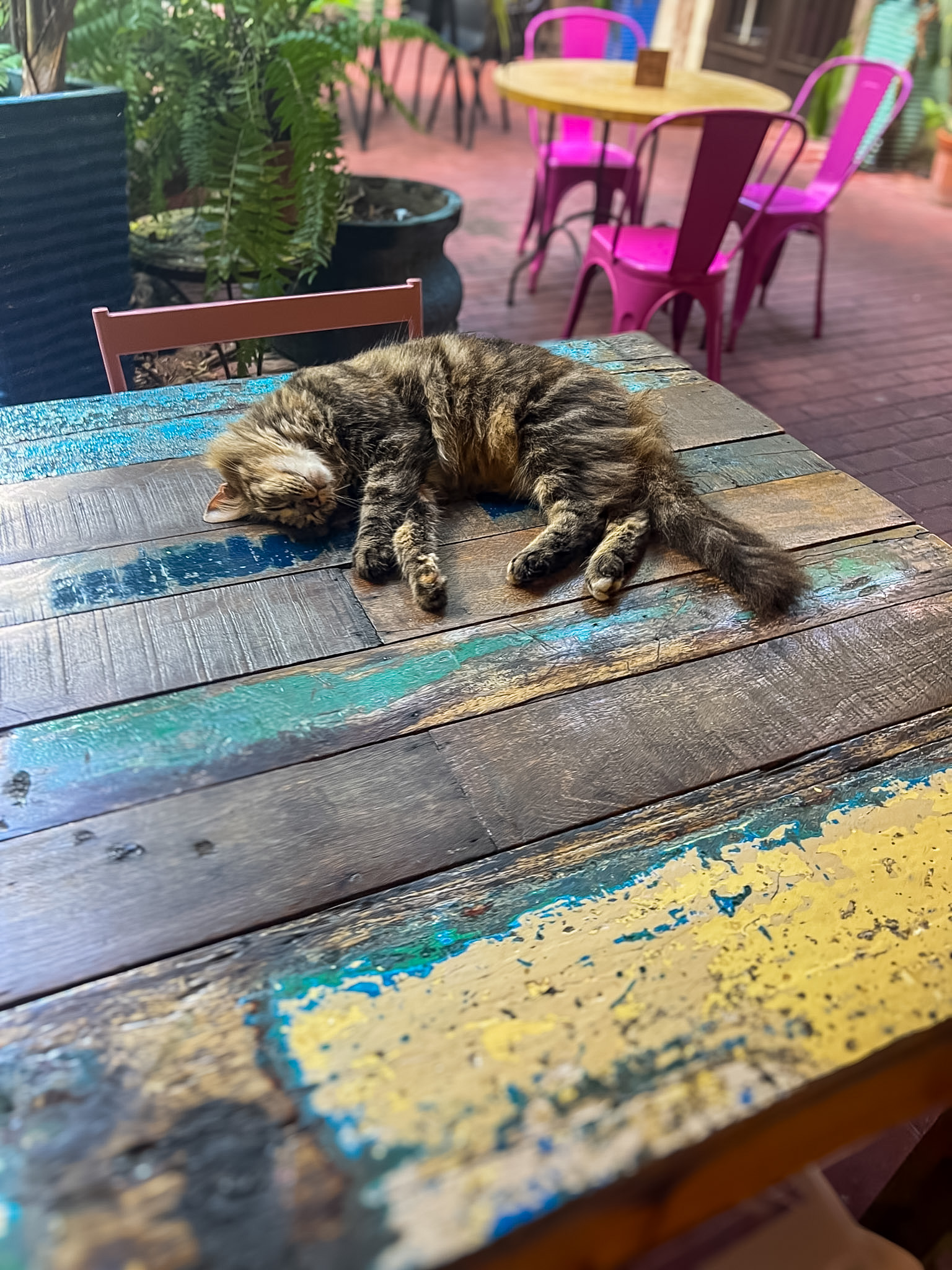 Number Ten Curaçao review showing indoor and outdoor seating layout