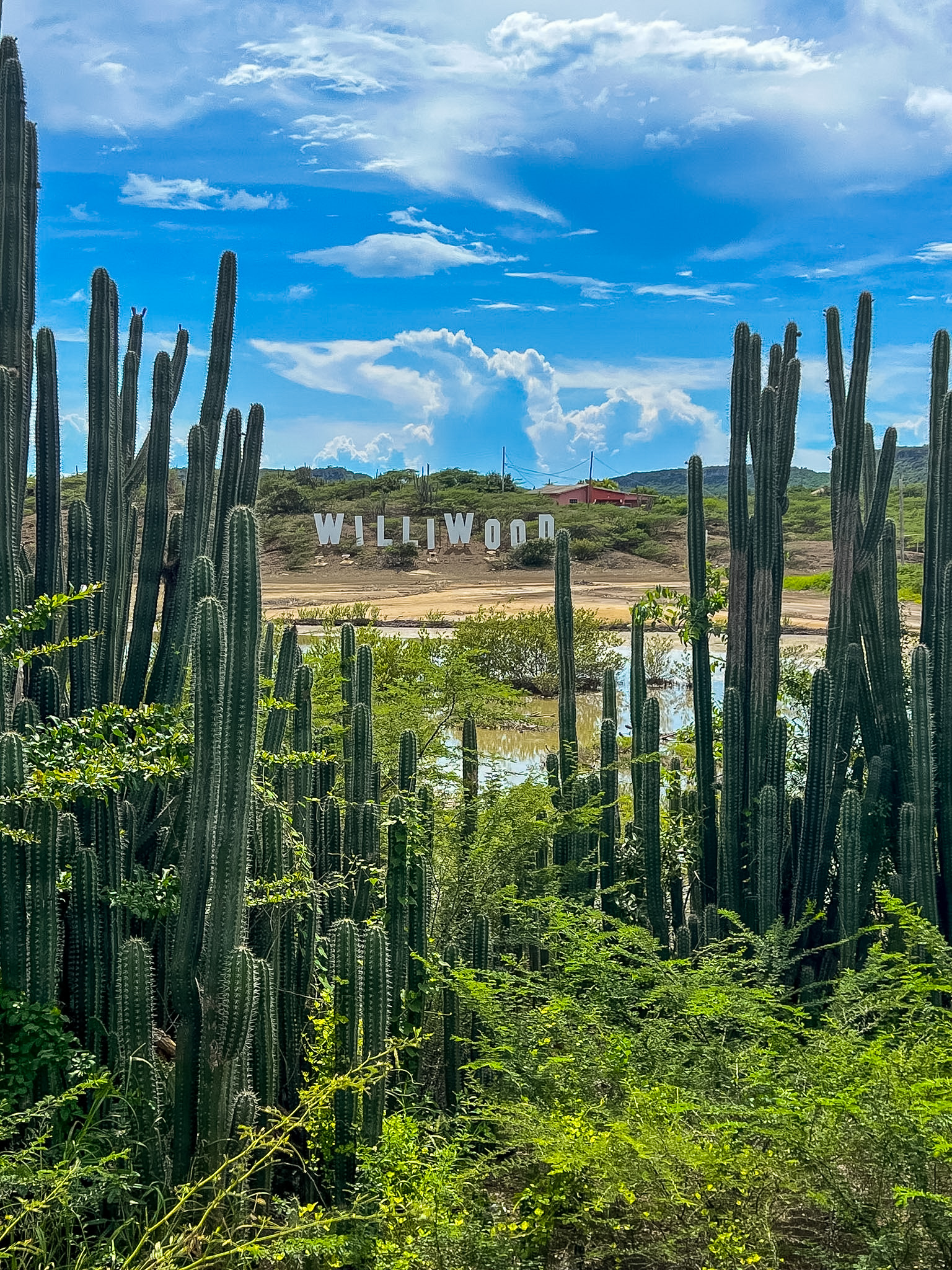 best Instagram spots in Curaçao williwood