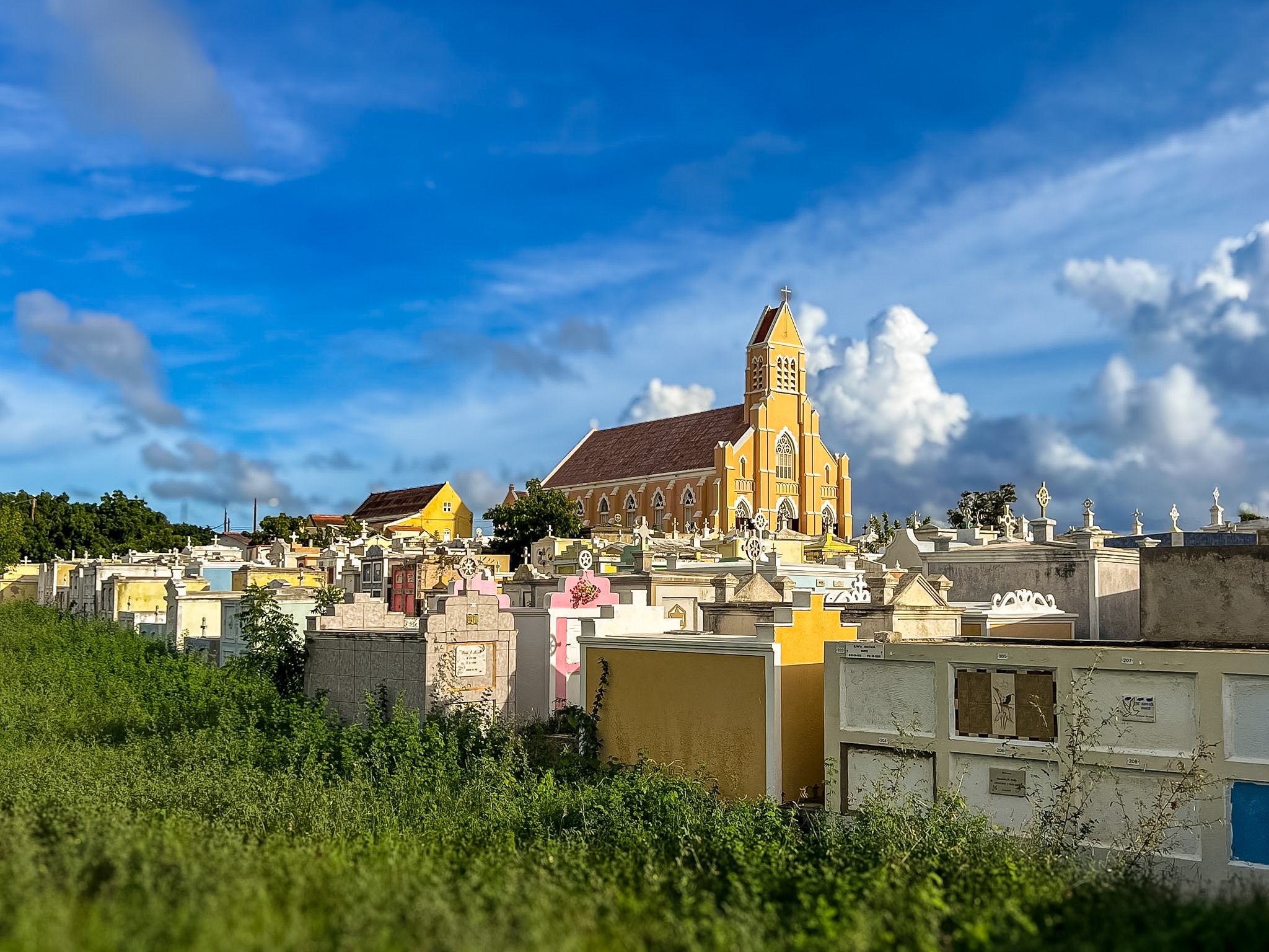 Jan Kok Flamingos Curaçao parking pull-off view from road