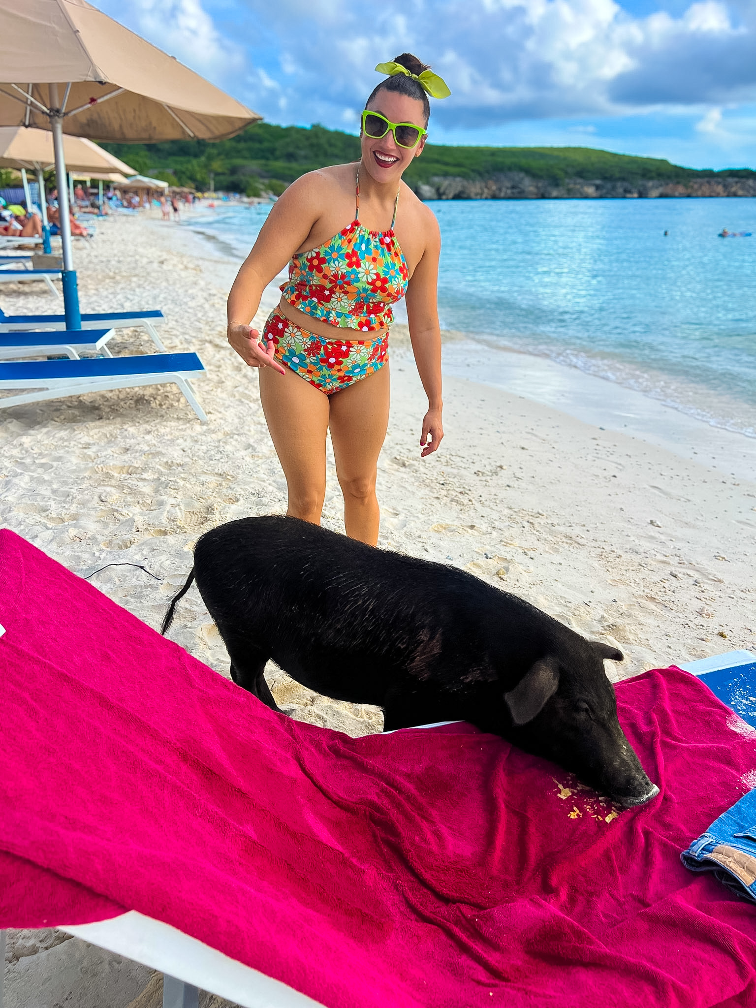 Curaçao 7 day itinerary Playa Porto Mari pigs beach