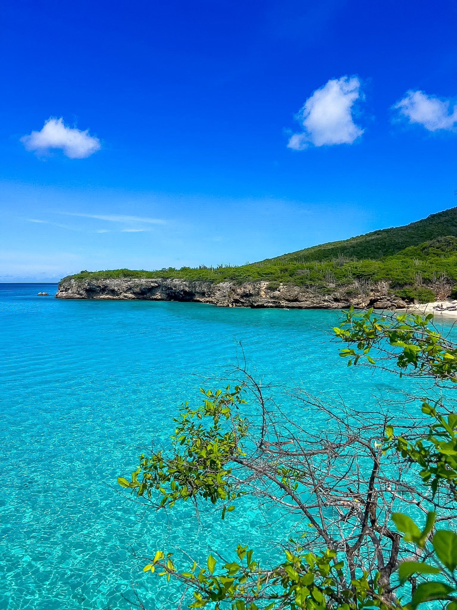 one day in Curaçao from a cruise ship Playa Kenepa Grandi clear blue water