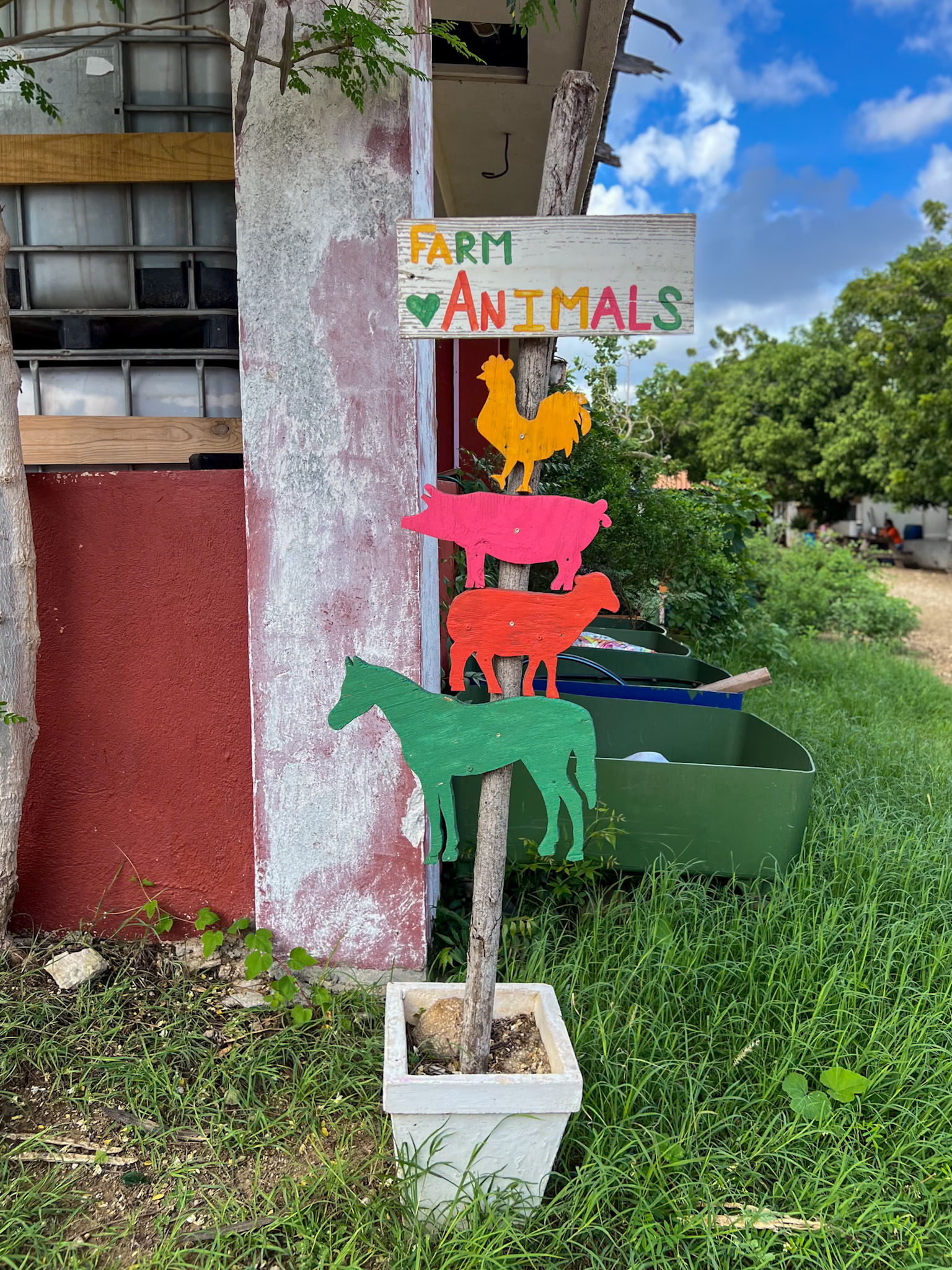 Hofi Cas Cora Curaçao Review farm-to-table breakfast setup with open-air dining