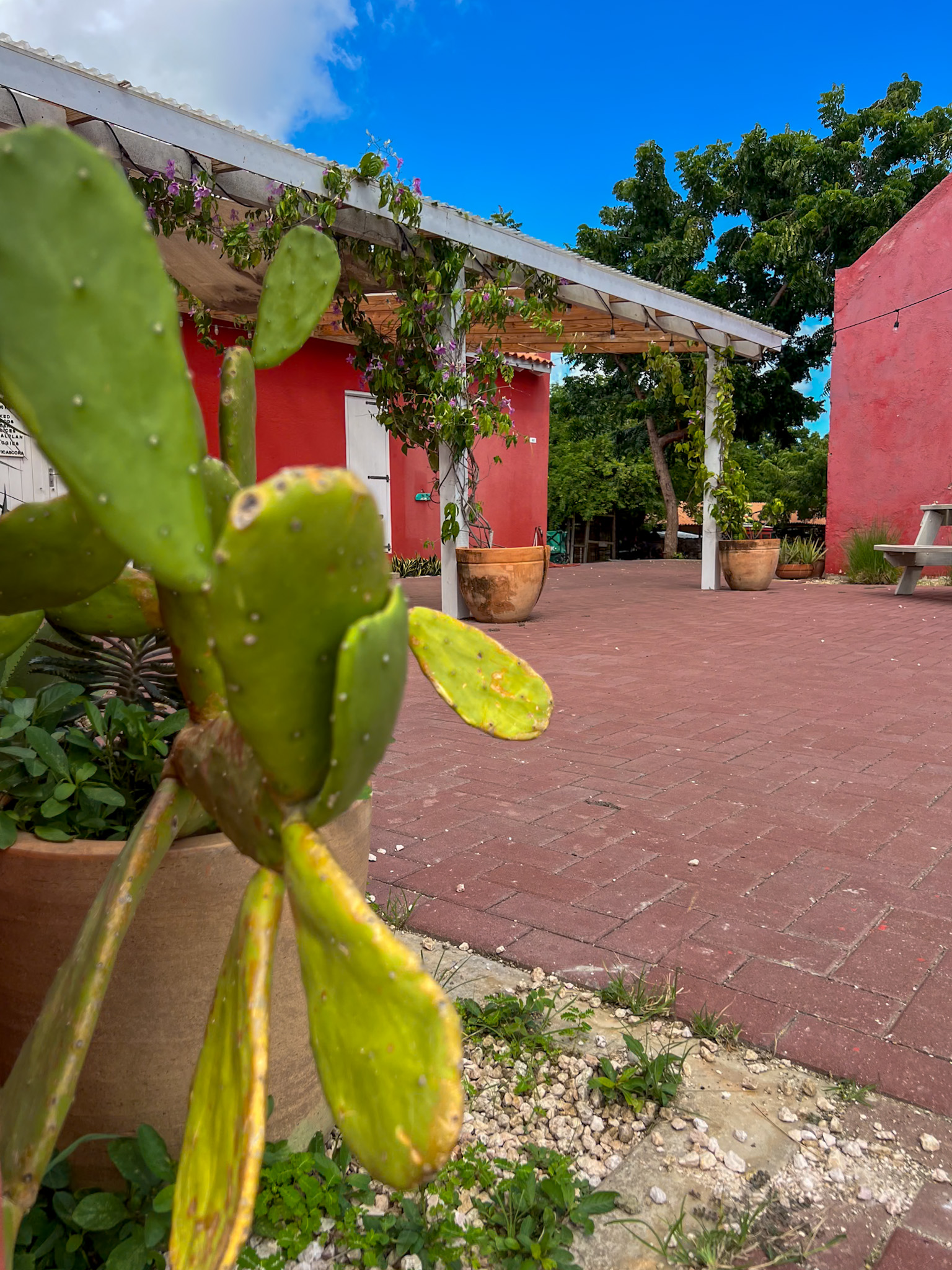 Hofi Cas Cora Curaçao Review view of farm area from dining table