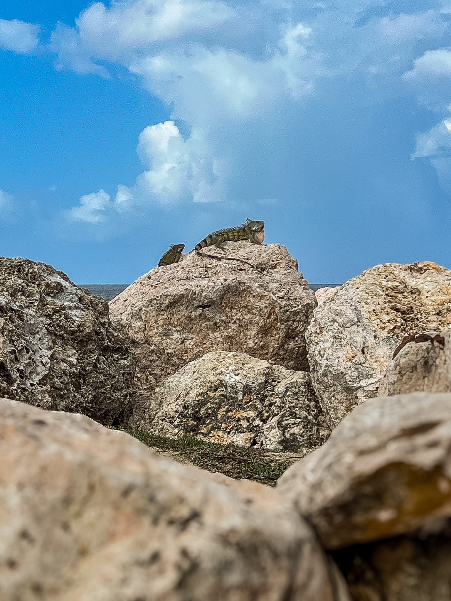 Best Time to Visit Curaçao beach view with clear water and blue sky