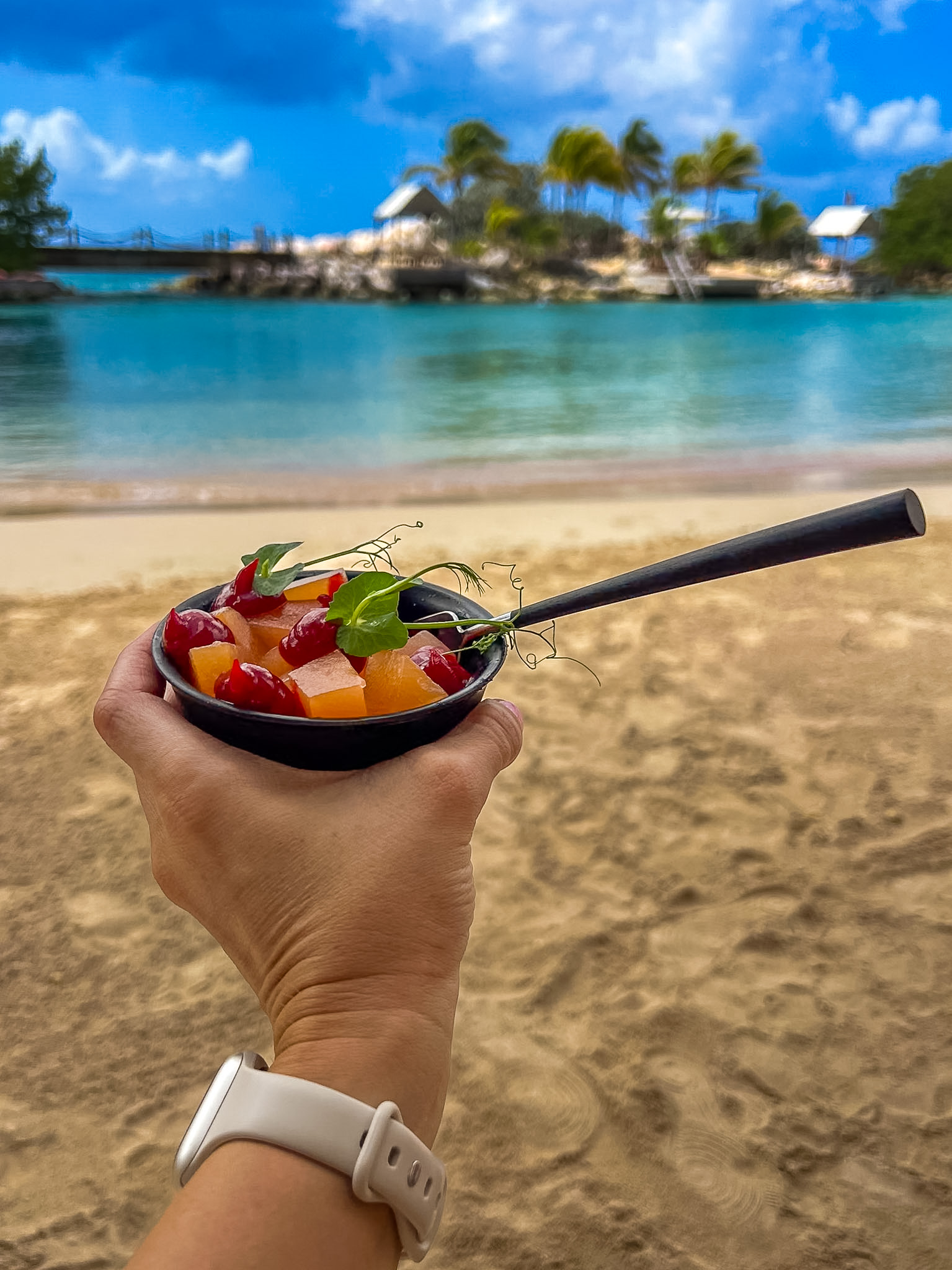 Baoase Luxury Resort Curaçao beach cove calm water Snacks
