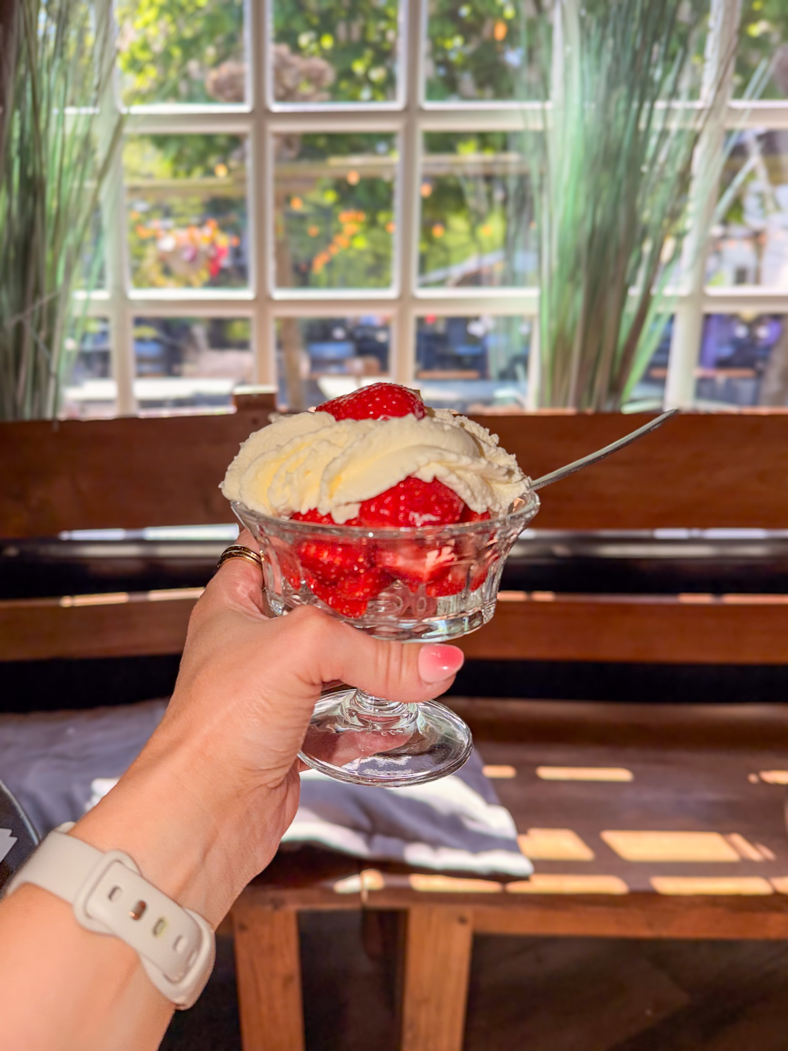 Fresh strawberries and cream served at Dutch pancake house Amsterdam