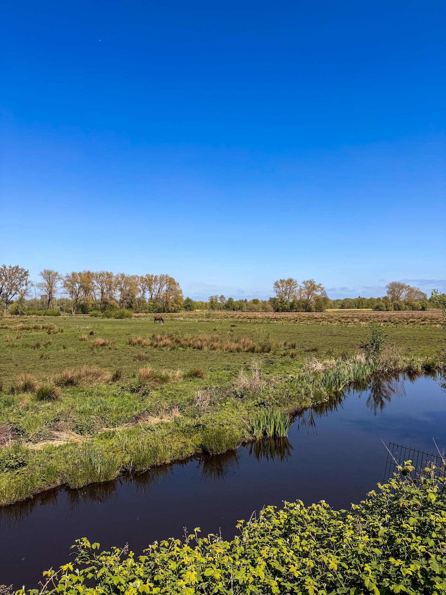 Walking trails near Dutch pancake house Amsterdam in Amsterdamse Bos
