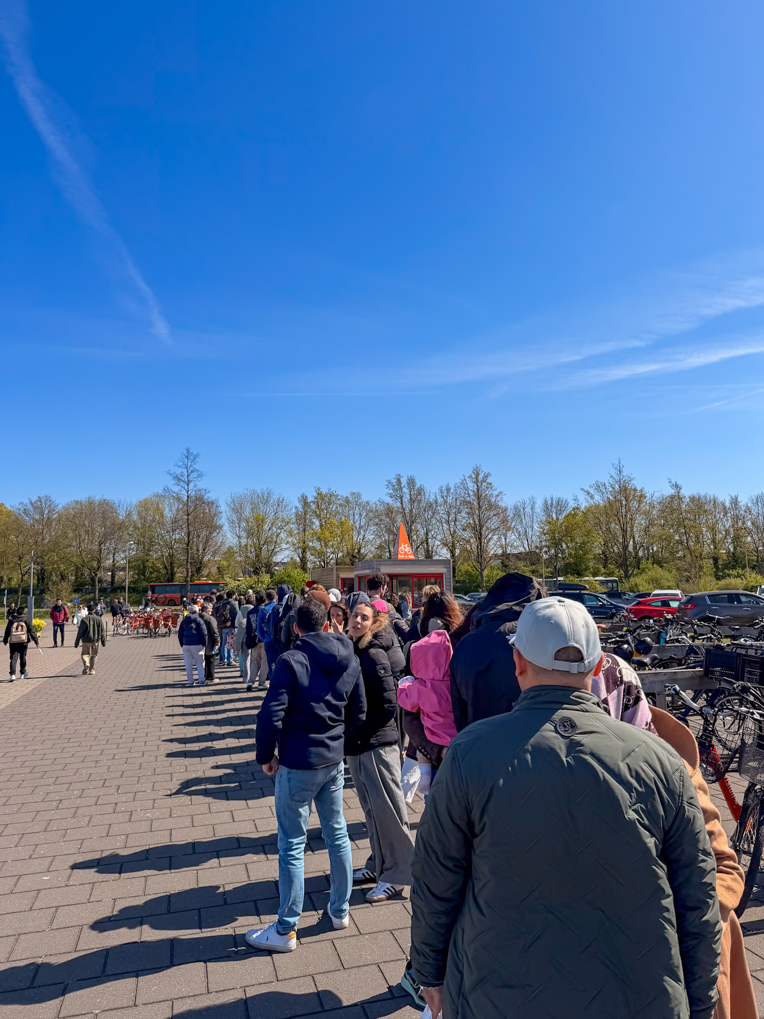 Picking up bikes along the tulip fields bike route Keukenhof in spring
