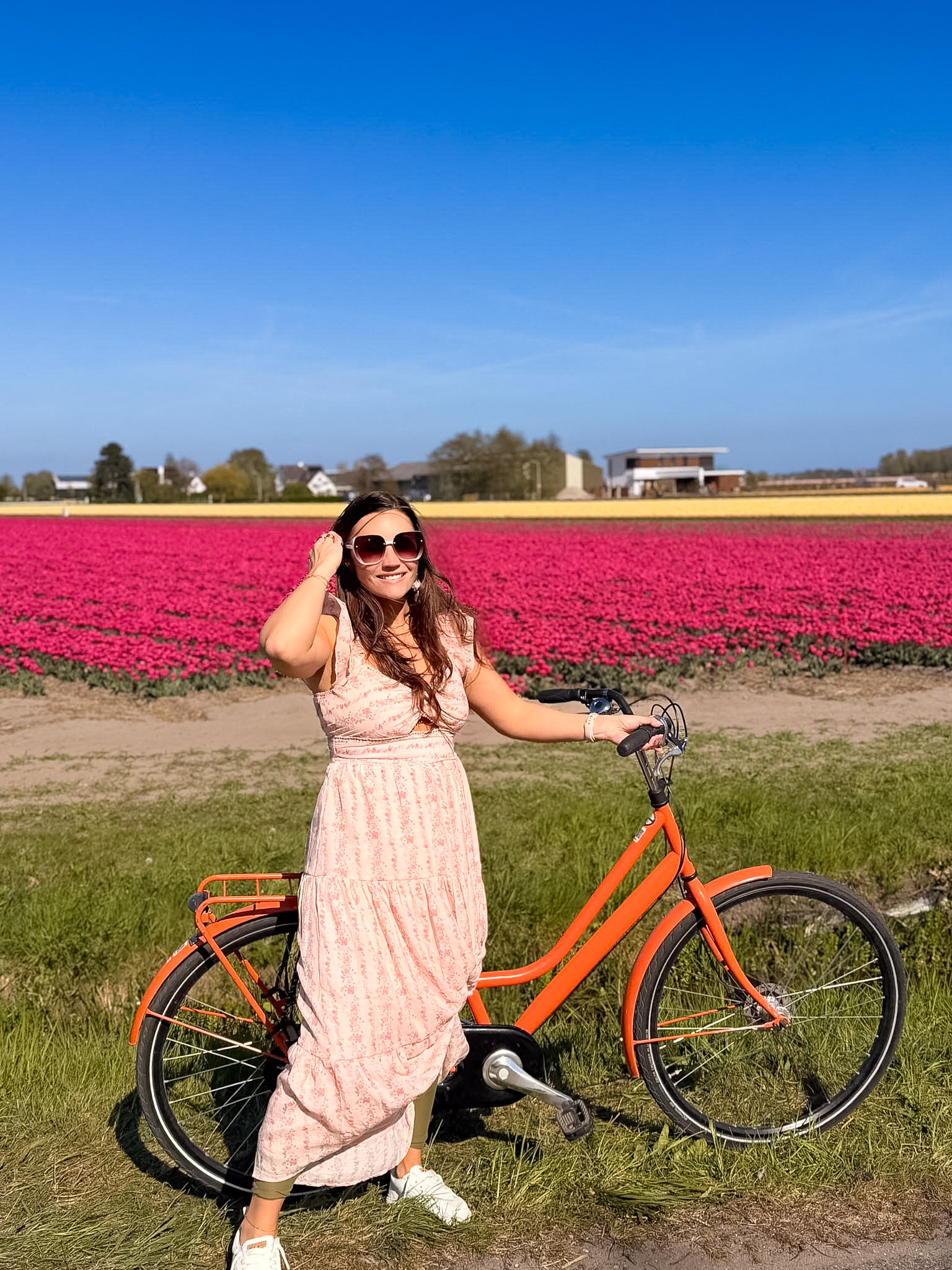 Tulip fields near Keukenhof during a 5 Days Netherlands Tulip Itinerary