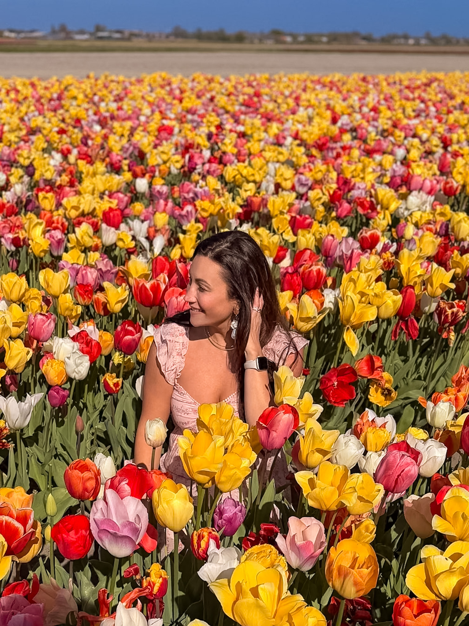 Bikes parked beside tulips on a 5 Days Netherlands Tulip Itinerary