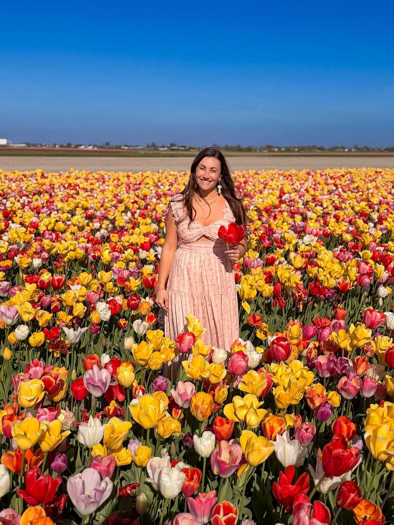 Tulip field photo stop near Keukenhof bike routes in the Netherlands