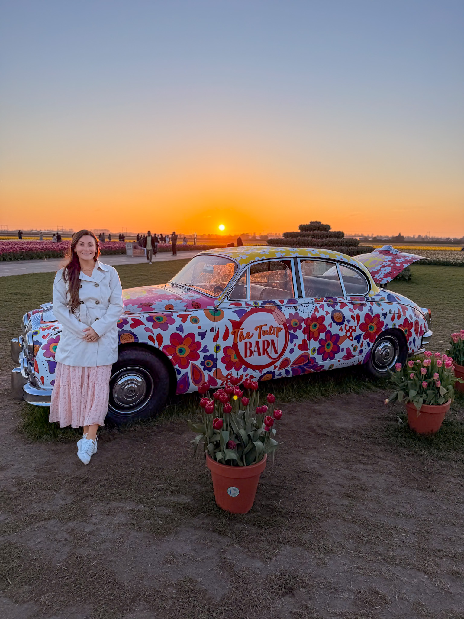 Tulip Barn Netherlands Review: What to Expect Before You Go