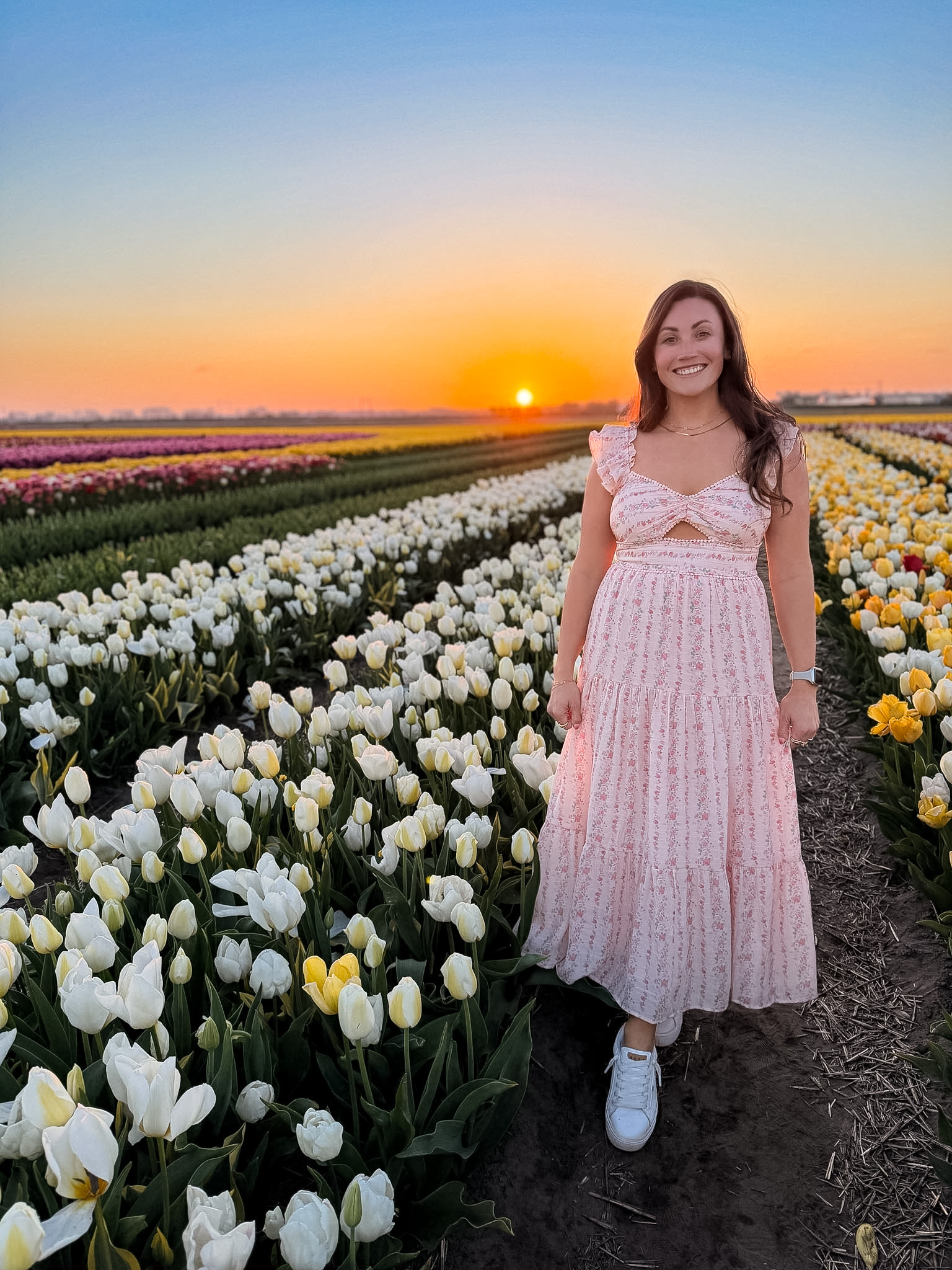 Tulip Barn Netherlands photo props near the flower fields