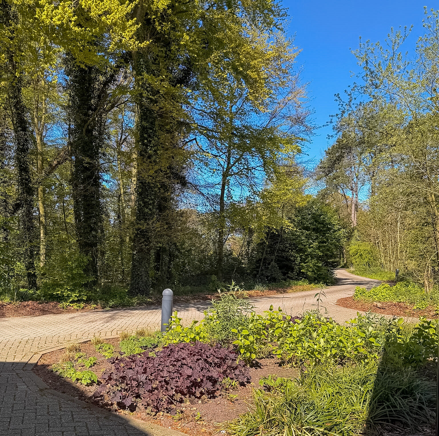 Easy parking area near Sint Agnes in Heemskerk Netherlands