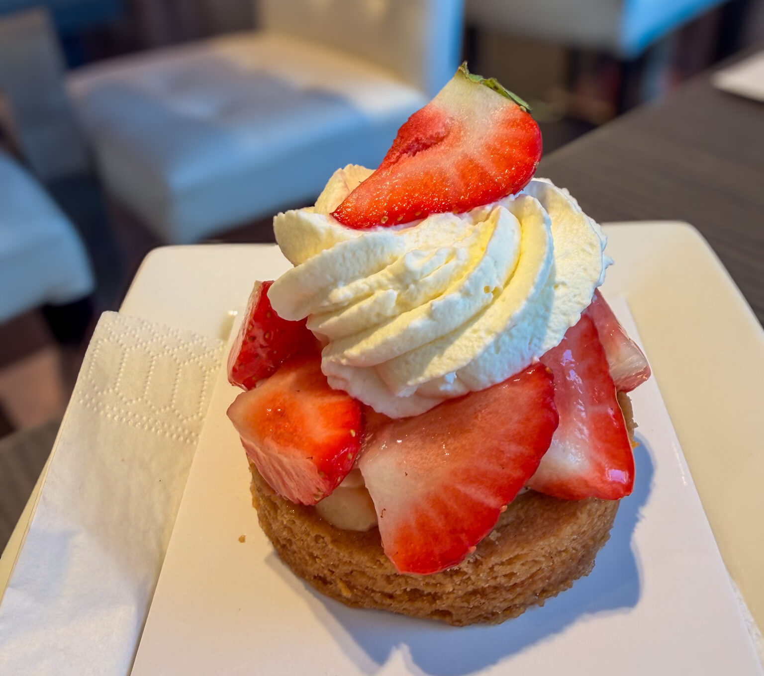 Strawberry tart from Wim Koelman Bakery Heemskerk during our Netherlands trip