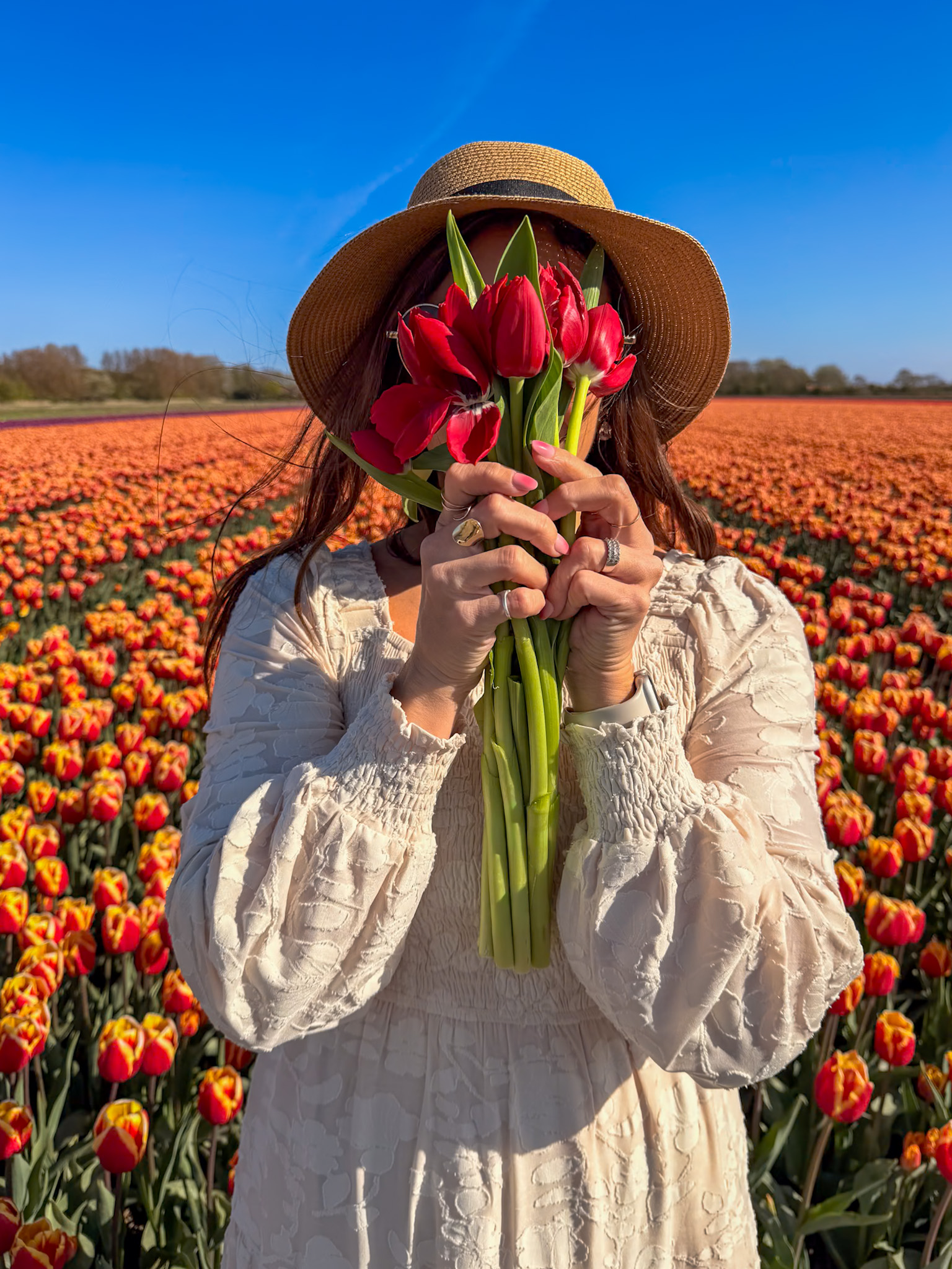7 day Netherlands itinerary exploring Alkmaar and northern tulip fields