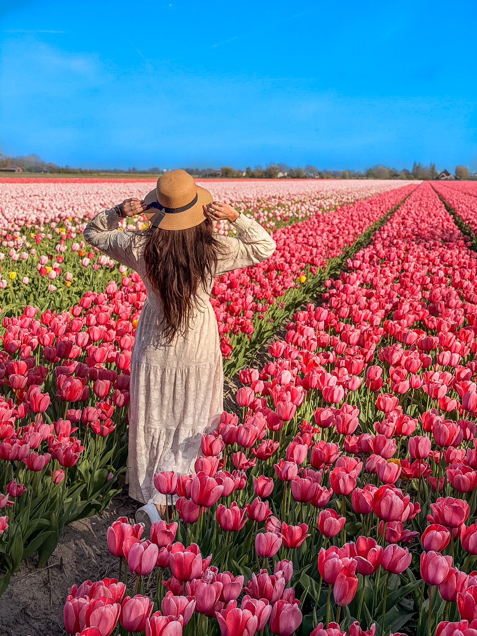 7 day Netherlands itinerary bike route near Keukenhof tulip fields