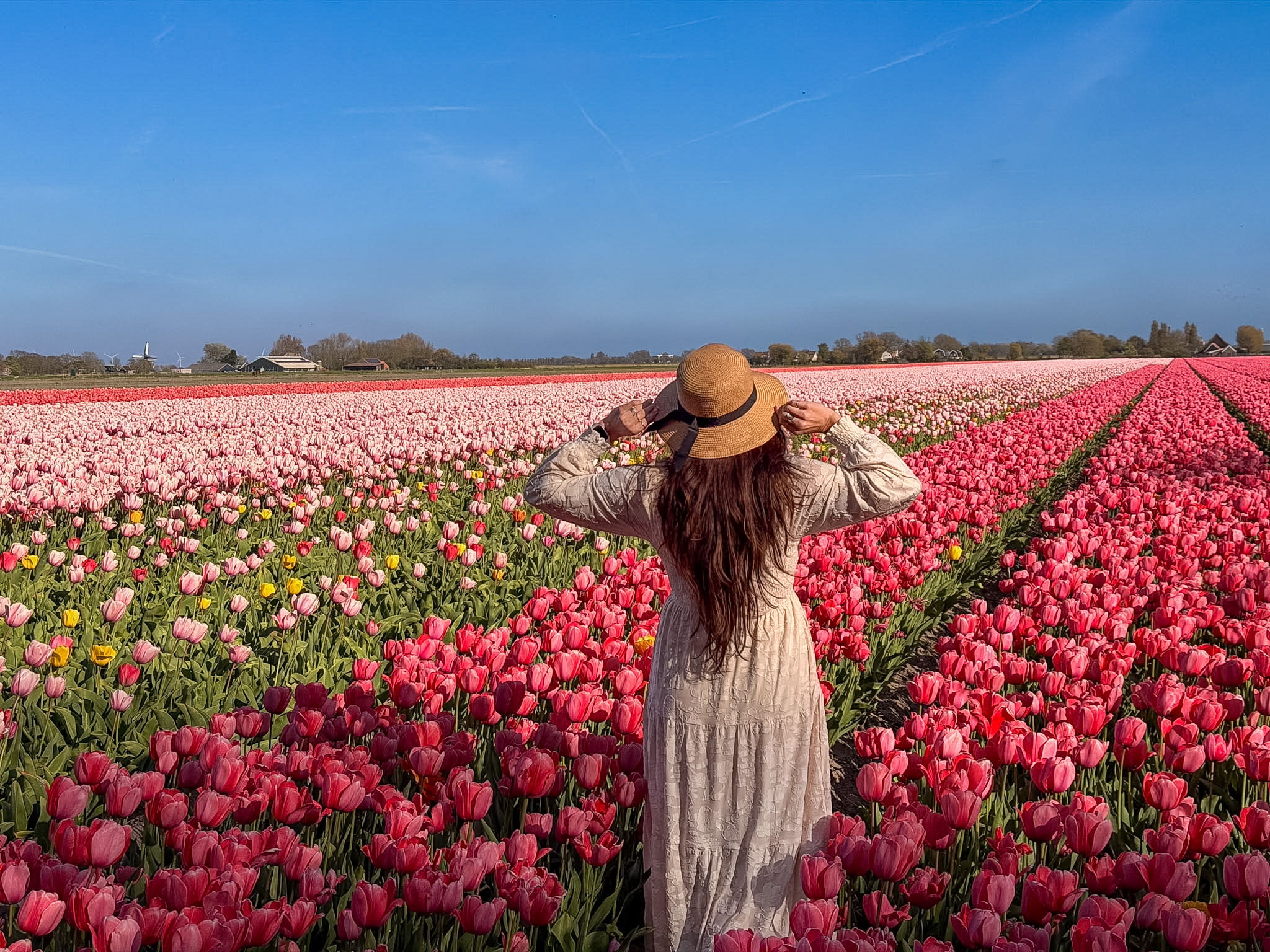Netherlands tulip season hotel planning guide for where to stay in the Netherlands