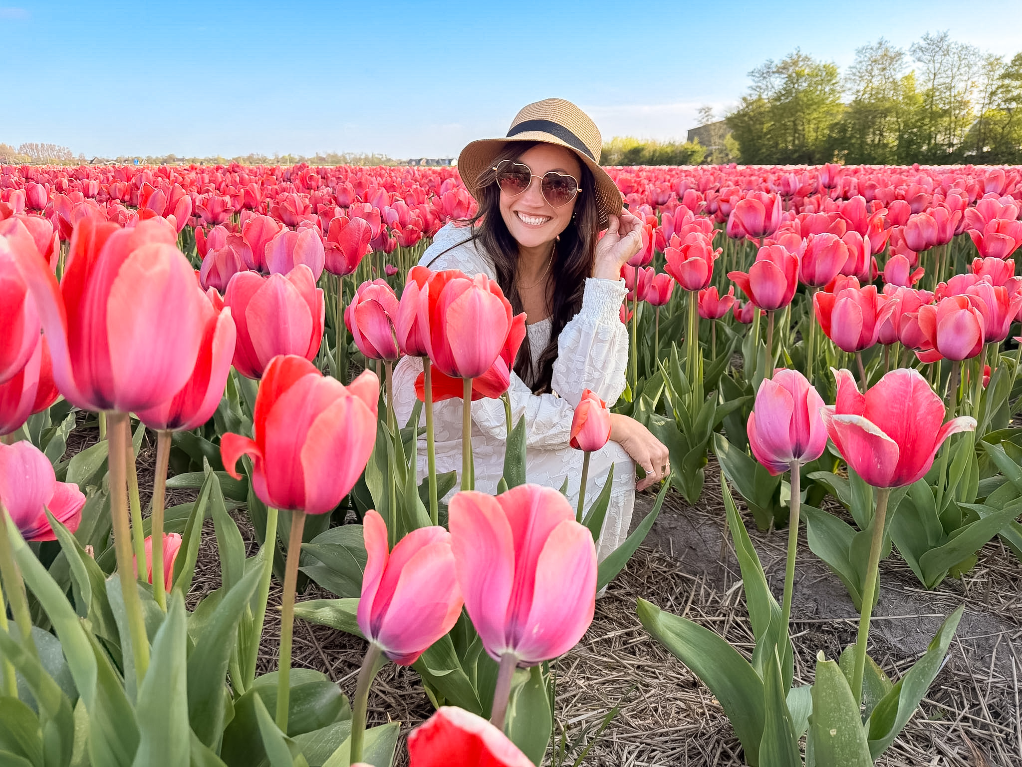 Tulip fields near Keukenhof during a 5 Days Netherlands Tulip Itinerary