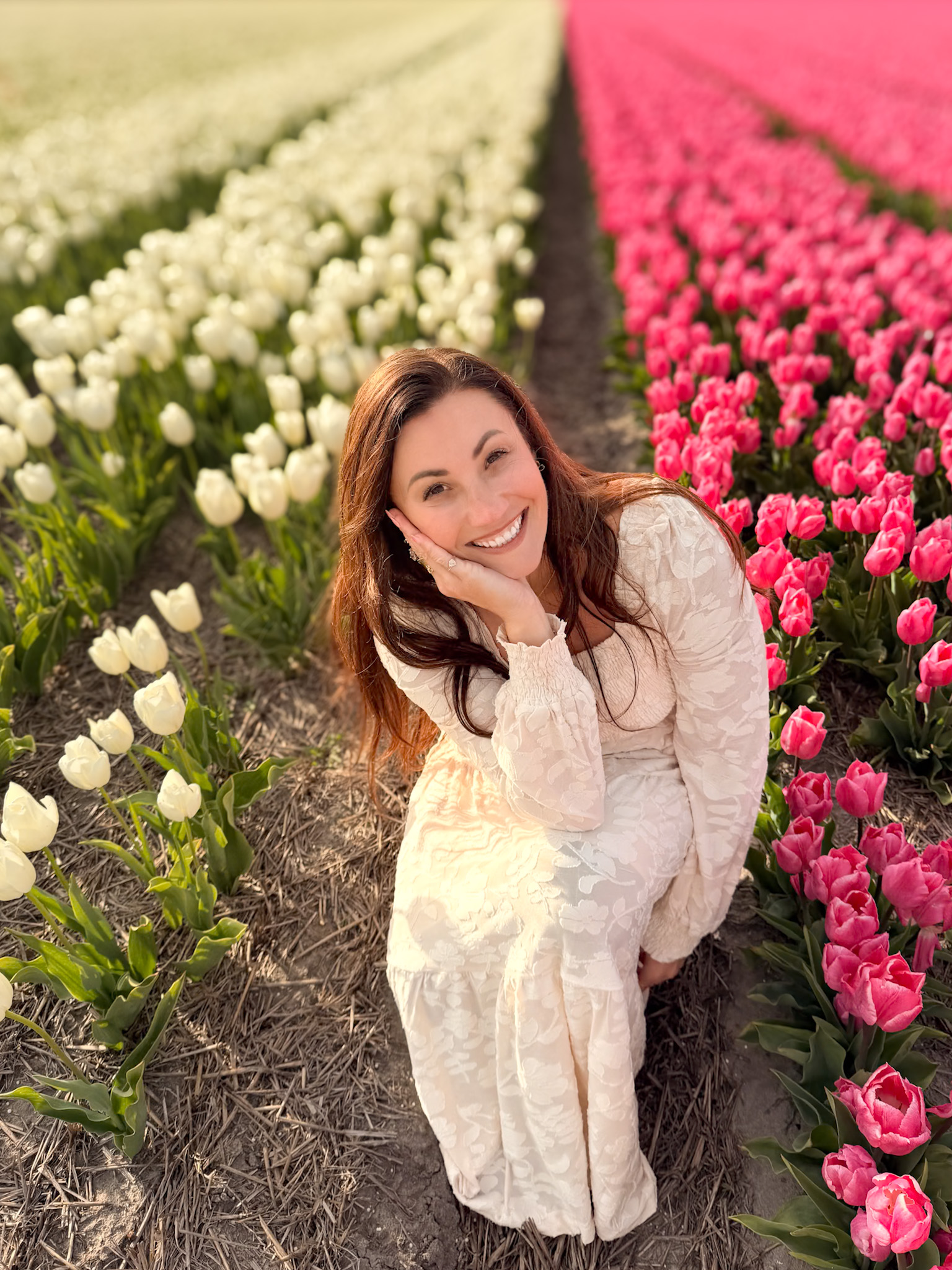 Tulip fields during a 5 Days Netherlands Tulip Itinerary