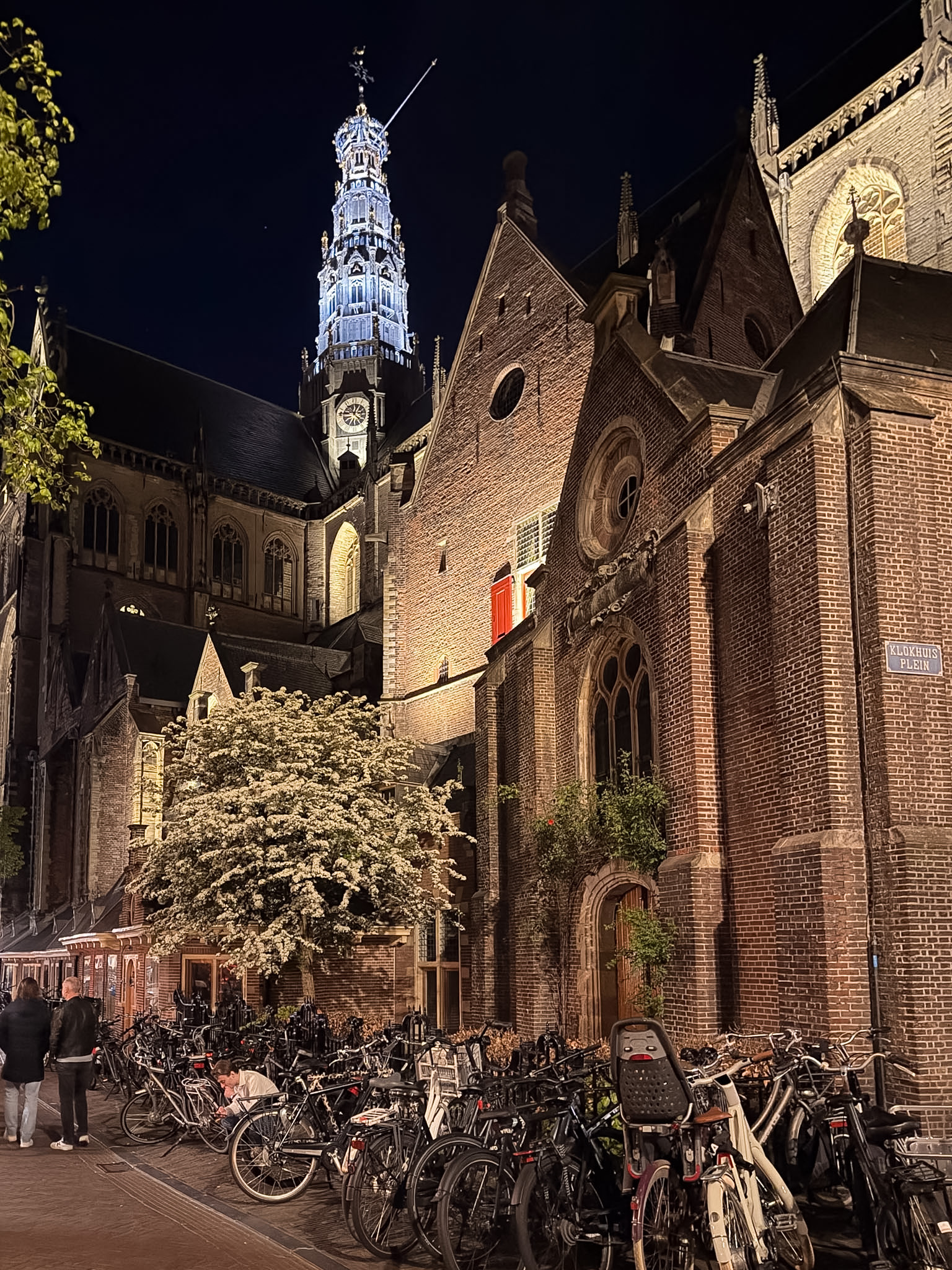things to do in Haarlem Netherlands church