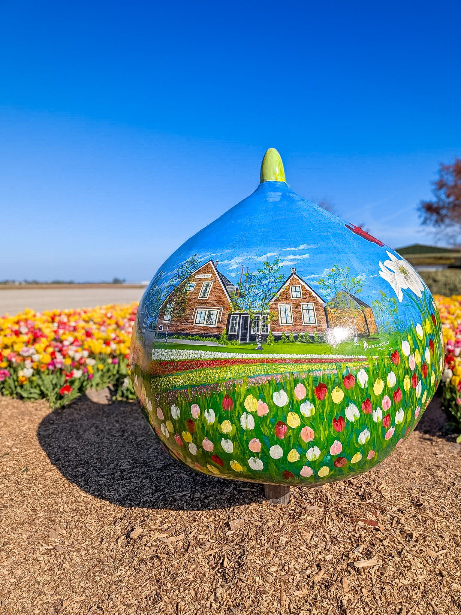 Riding bikes along the tulip fields bike route Keukenhof in spring