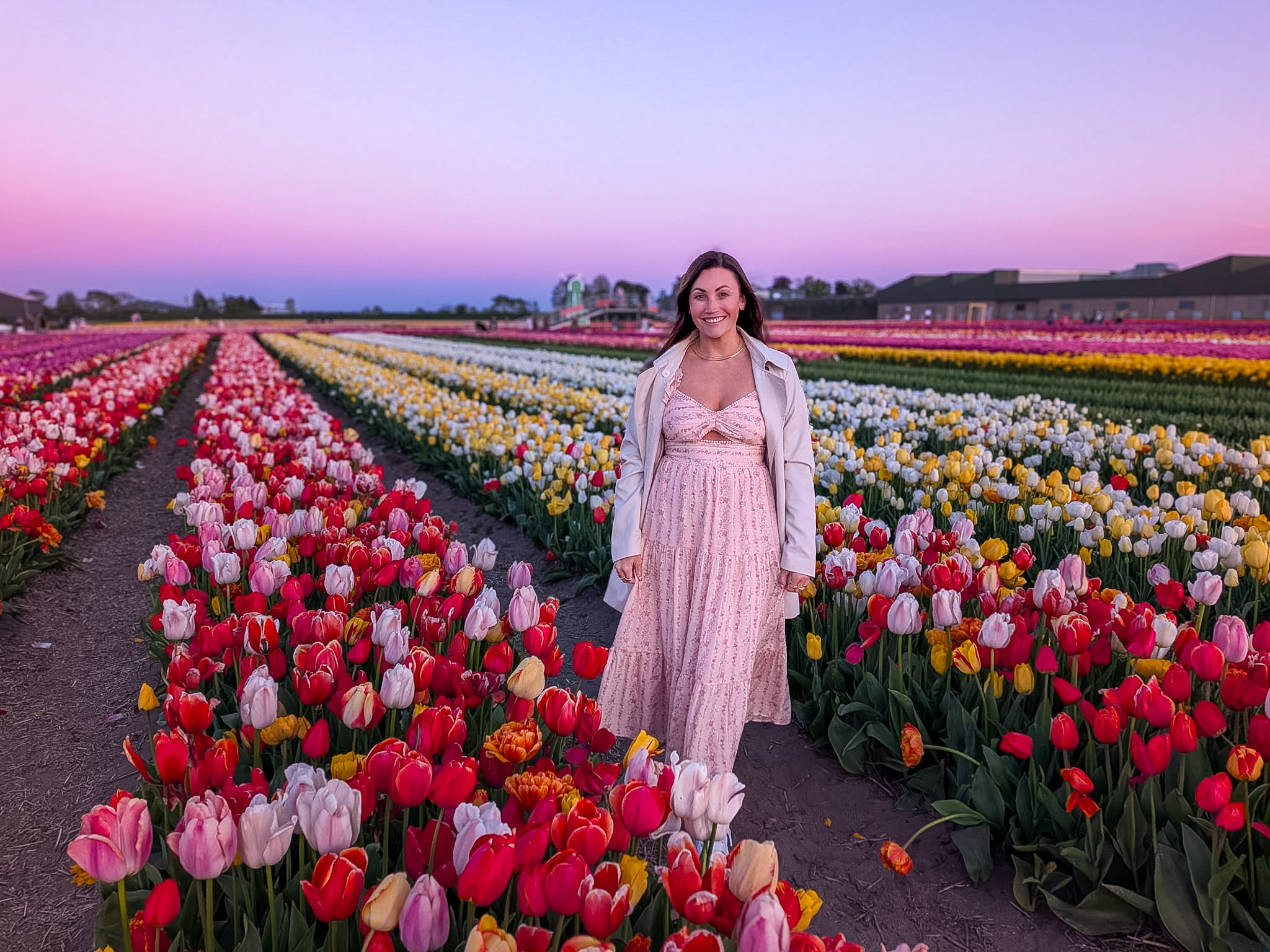 Tulip Barn during a 5 Days Netherlands Tulip Itinerary at sunset