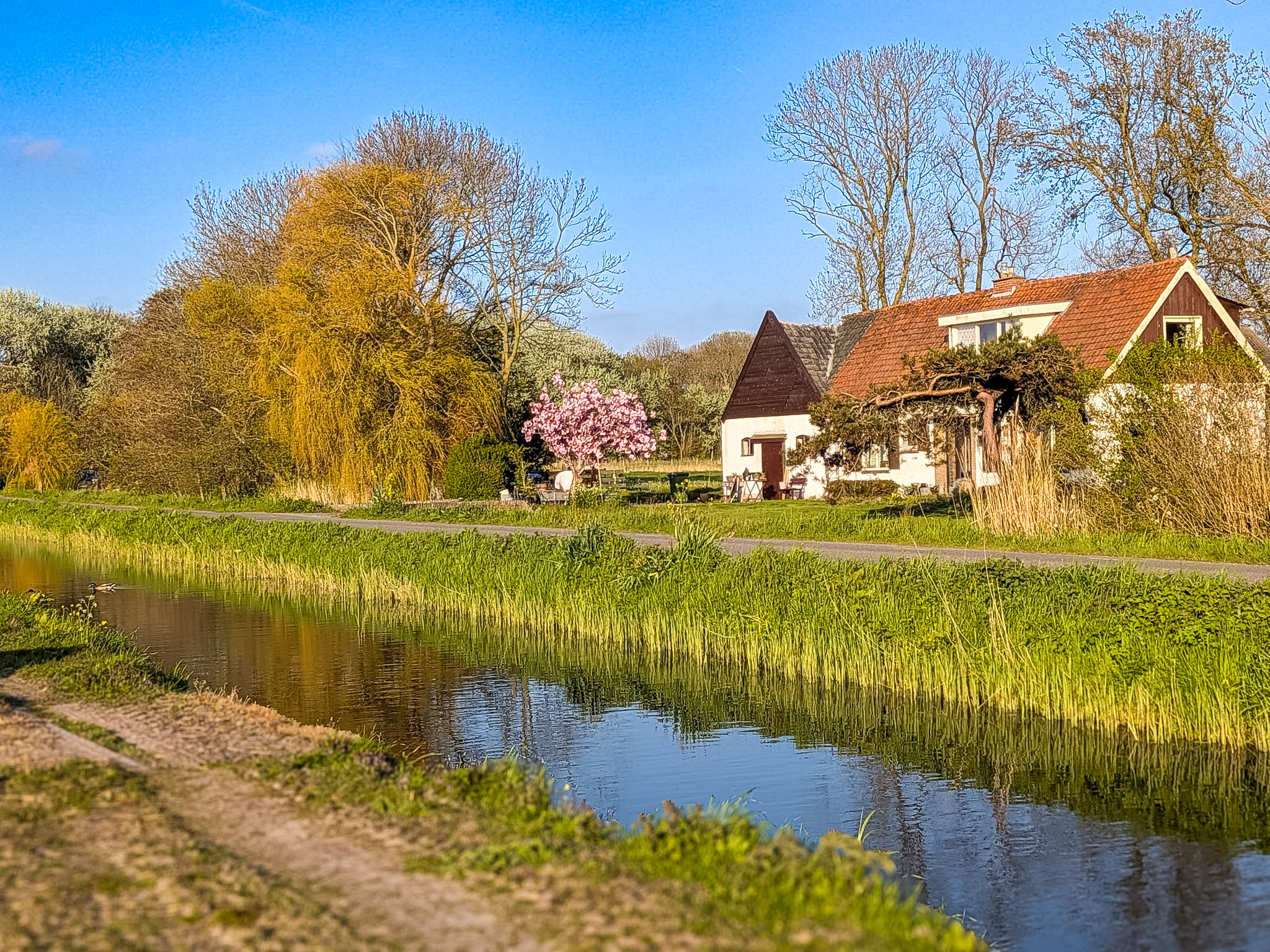 Countryside views during driving in the Netherlands