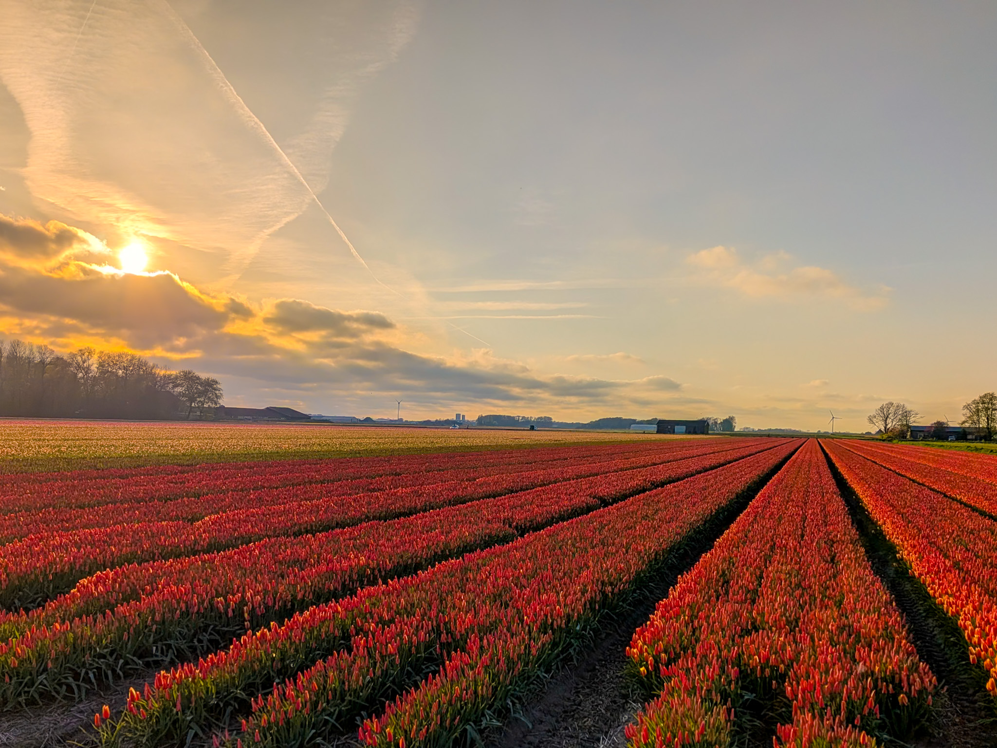 Modern hotel room at Hotel Heemskerk Netherlands during tulip season