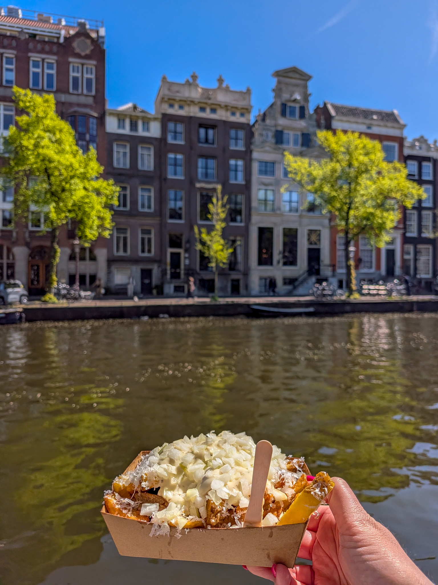 Loaded fries from Fabel Friet on a self-guided Amsterdam food tour