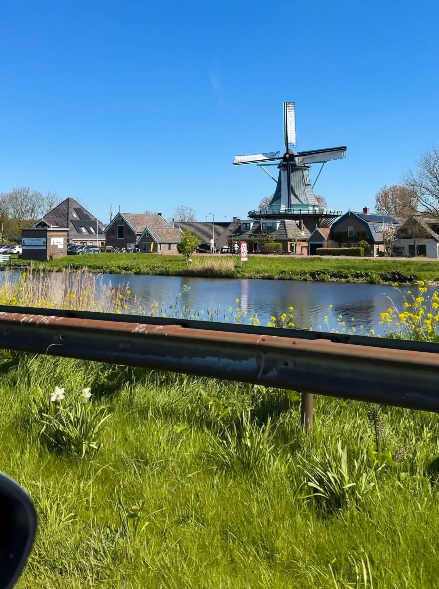 Tulip fields driving route Netherlands stop with pink and red tulips along a country road