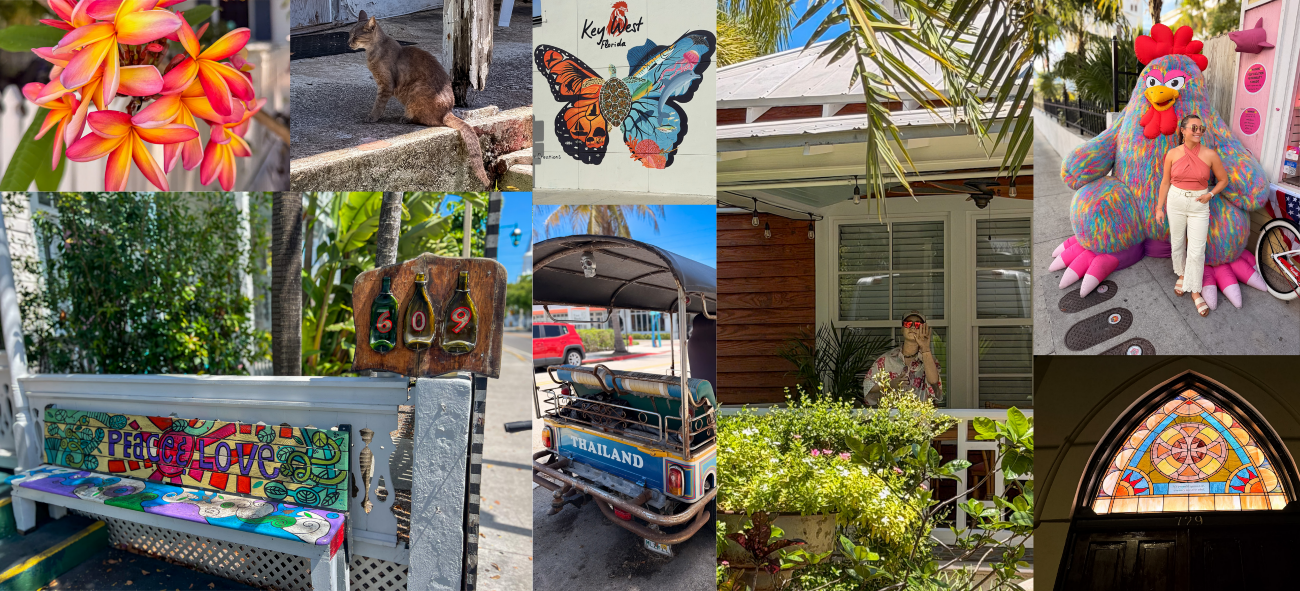 Key West FAQs guide with colorful Old Town houses and palm trees