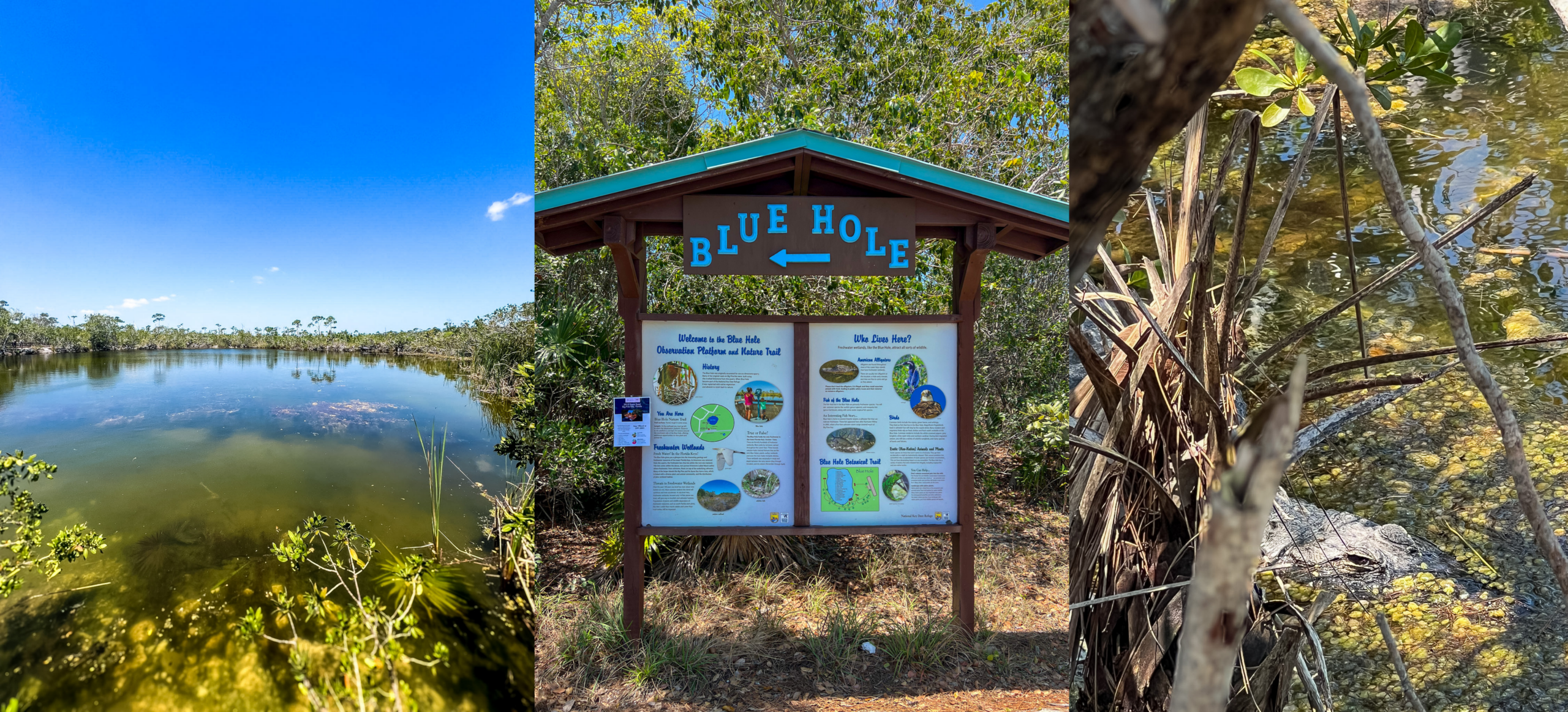 Best stops on the drive from Miami to Key West Blue Hole