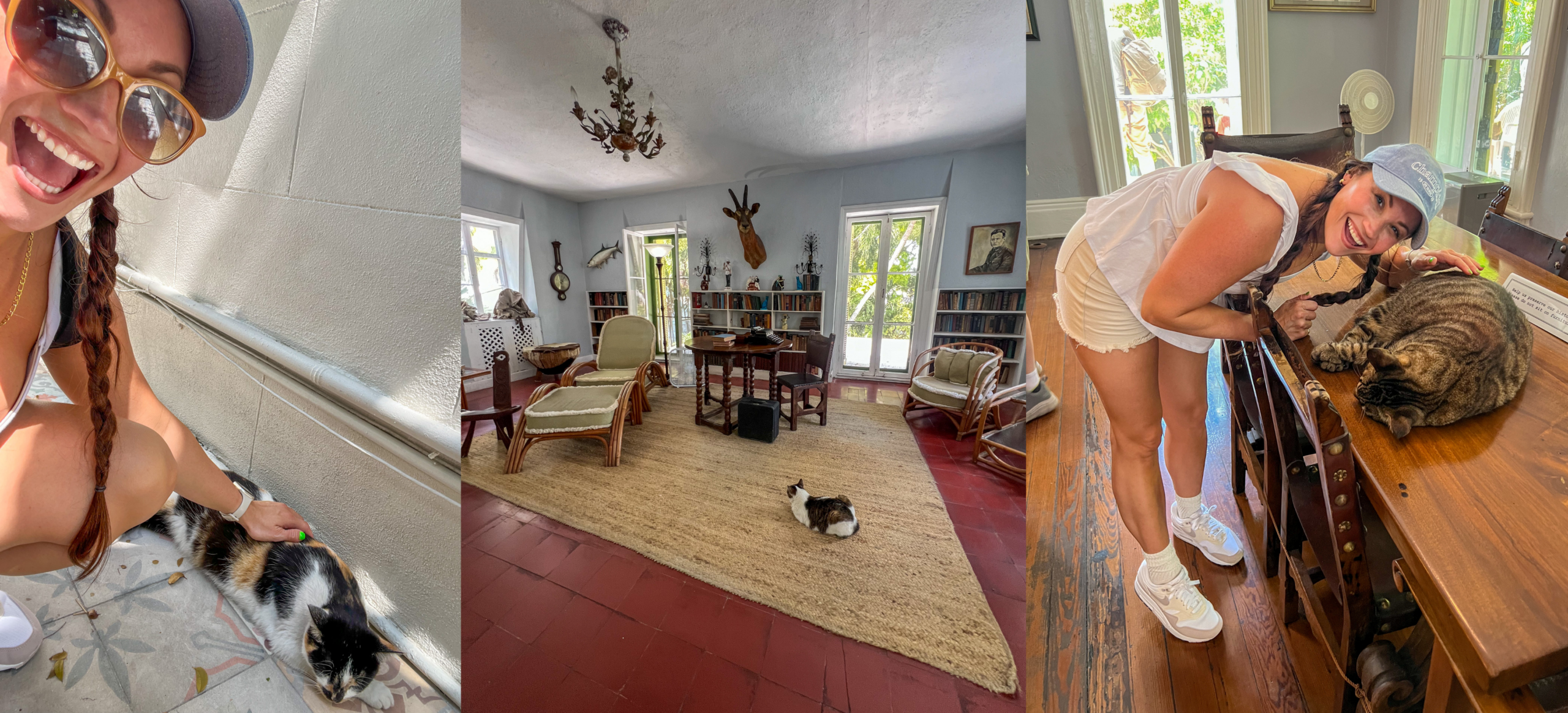 Hemingway House Key West cat lounging near the historic home