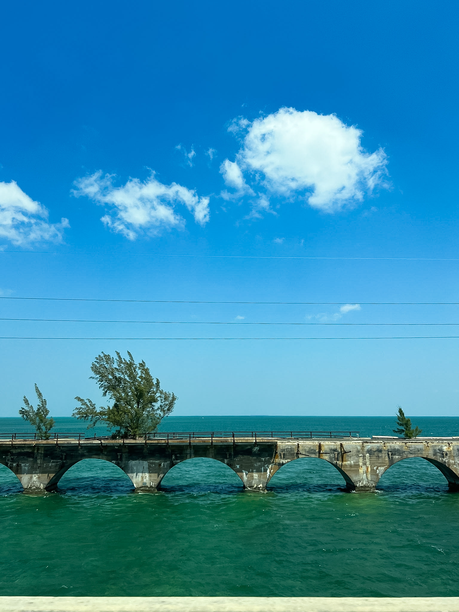 Best stops on the drive from Miami to Key West with Fred the Tree