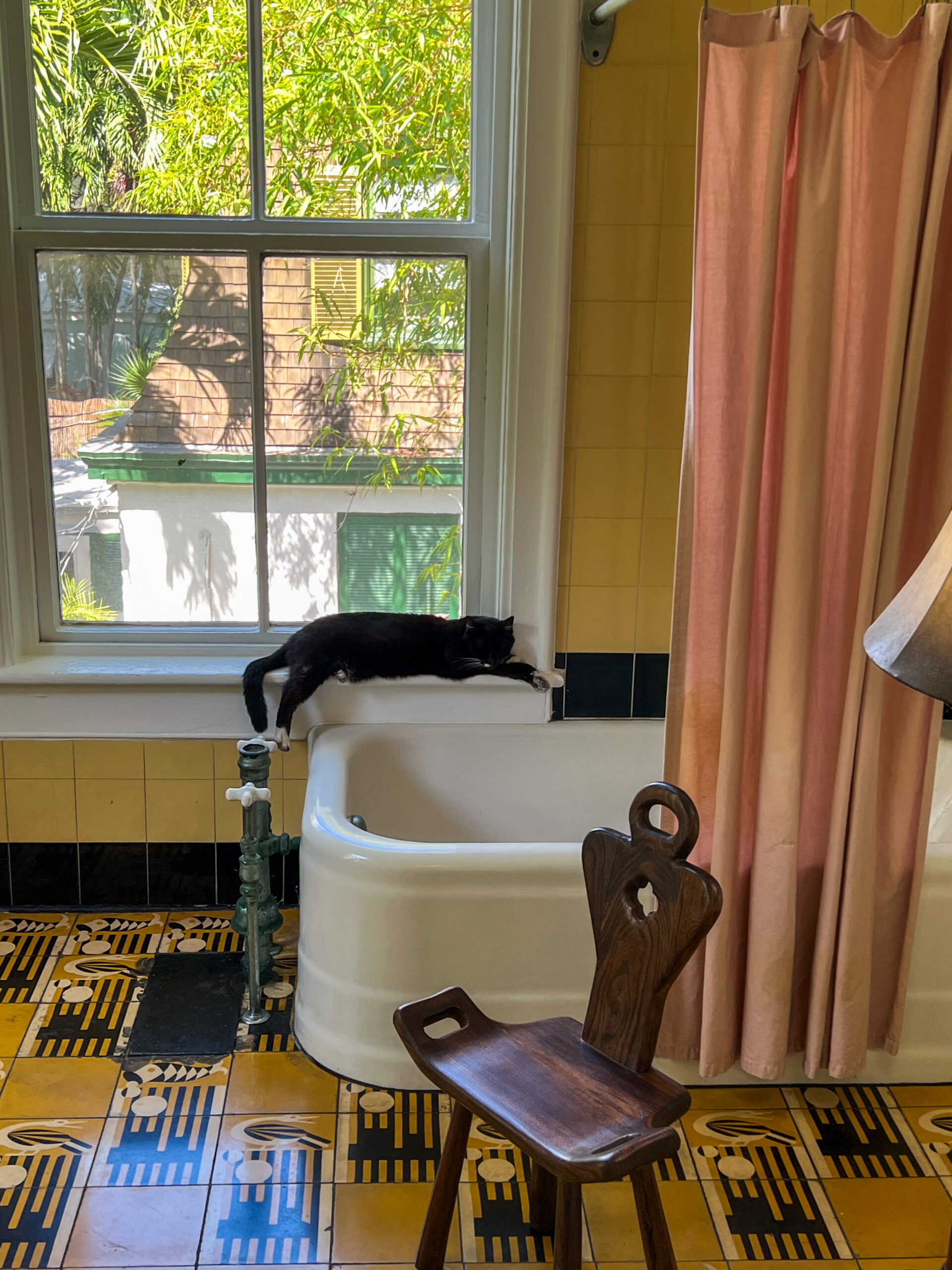 Hemingway House Key West cat lounging near the historic home bath