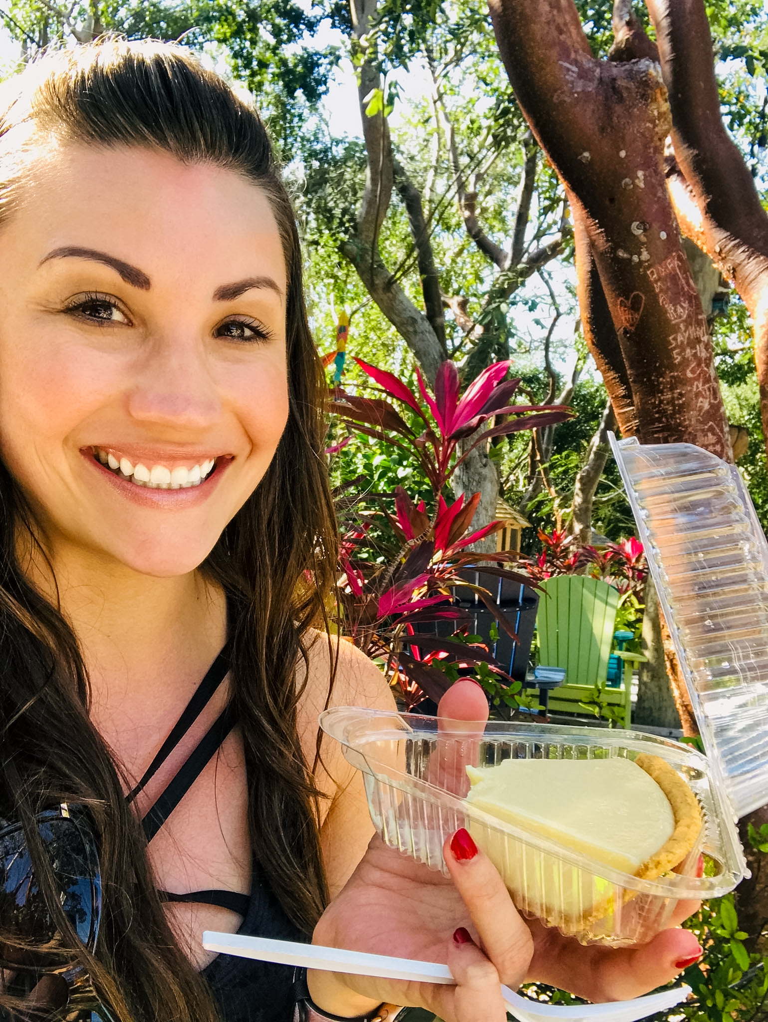 Best key lime pie in Key West and the Florida Keys from Blonde Giraffe in Key Largo