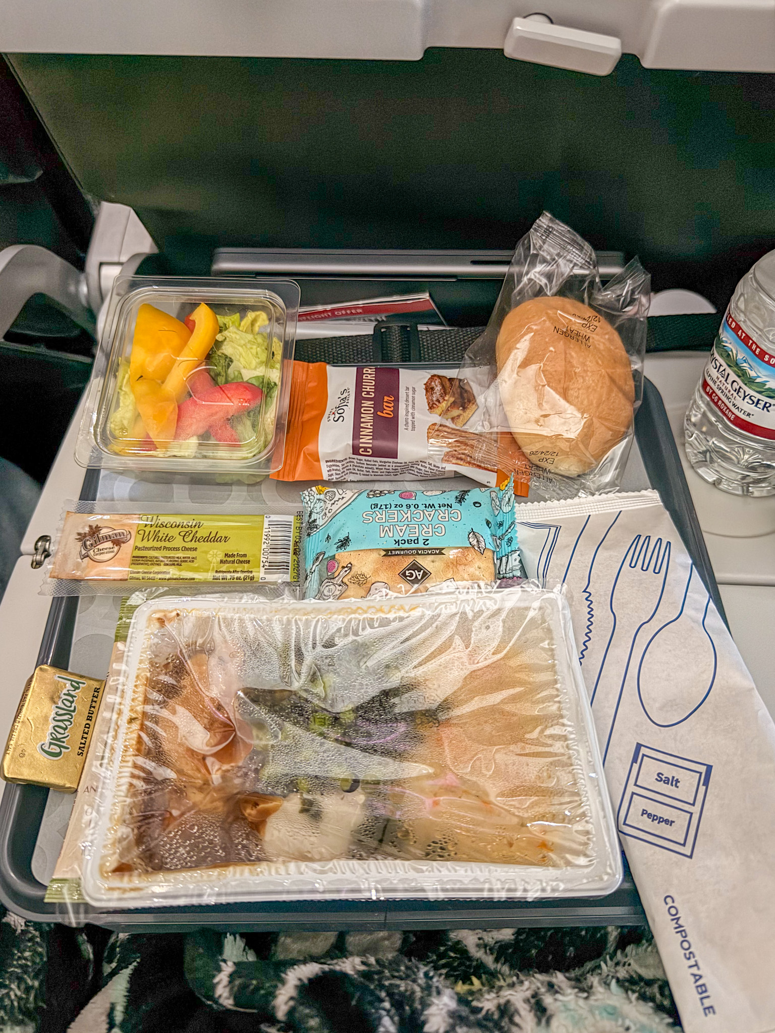 American Airlines international flight review featuring chicken dinner meal