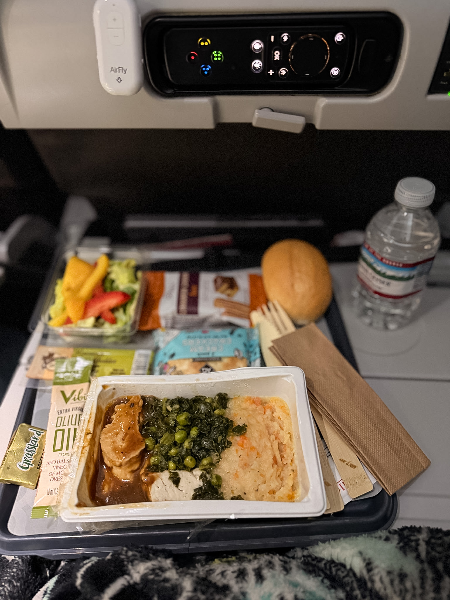 American Airlines international flight review featuring chicken dinner meal