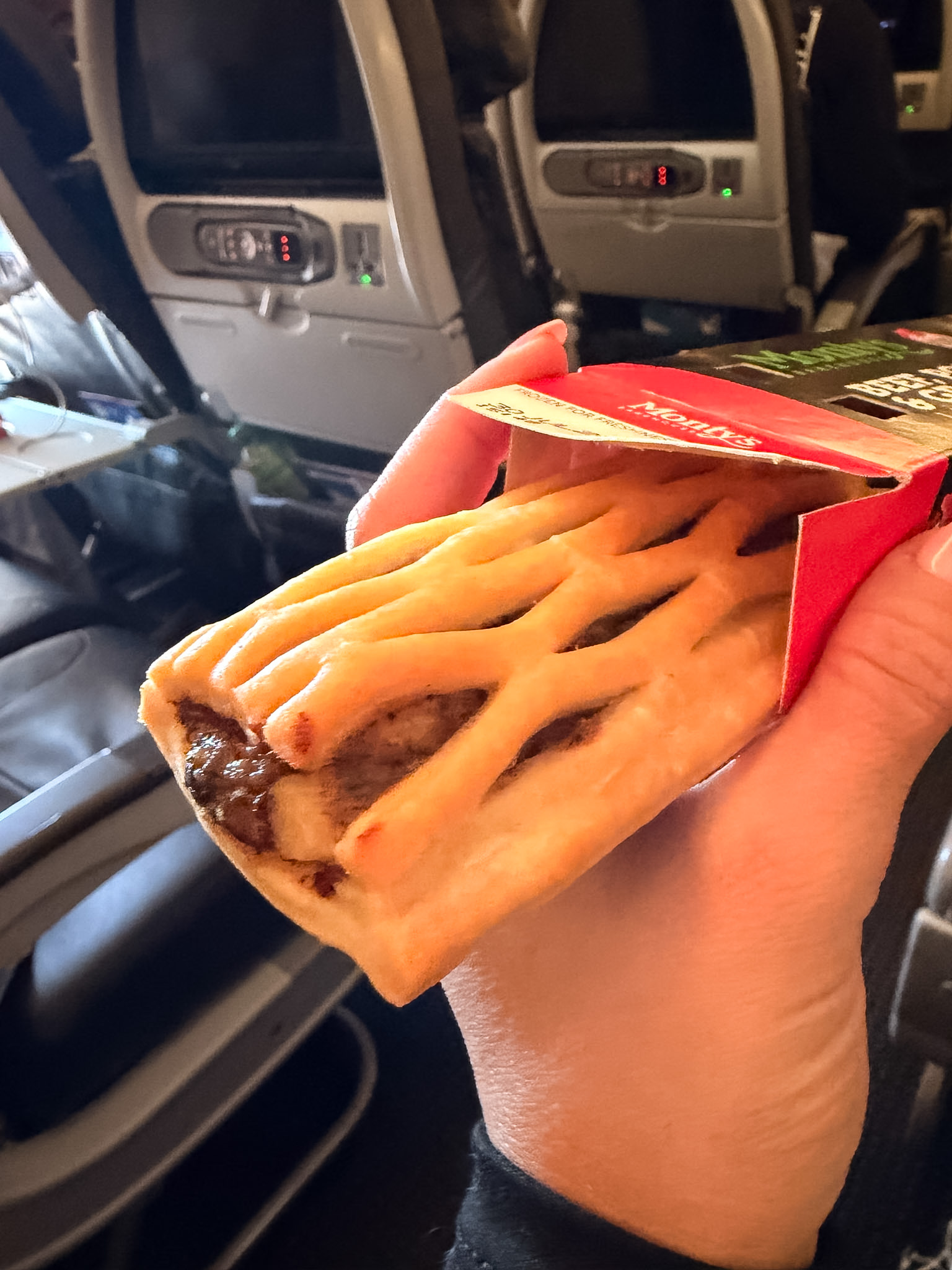 American Airlines international flight review featuring long-haul flight snacks