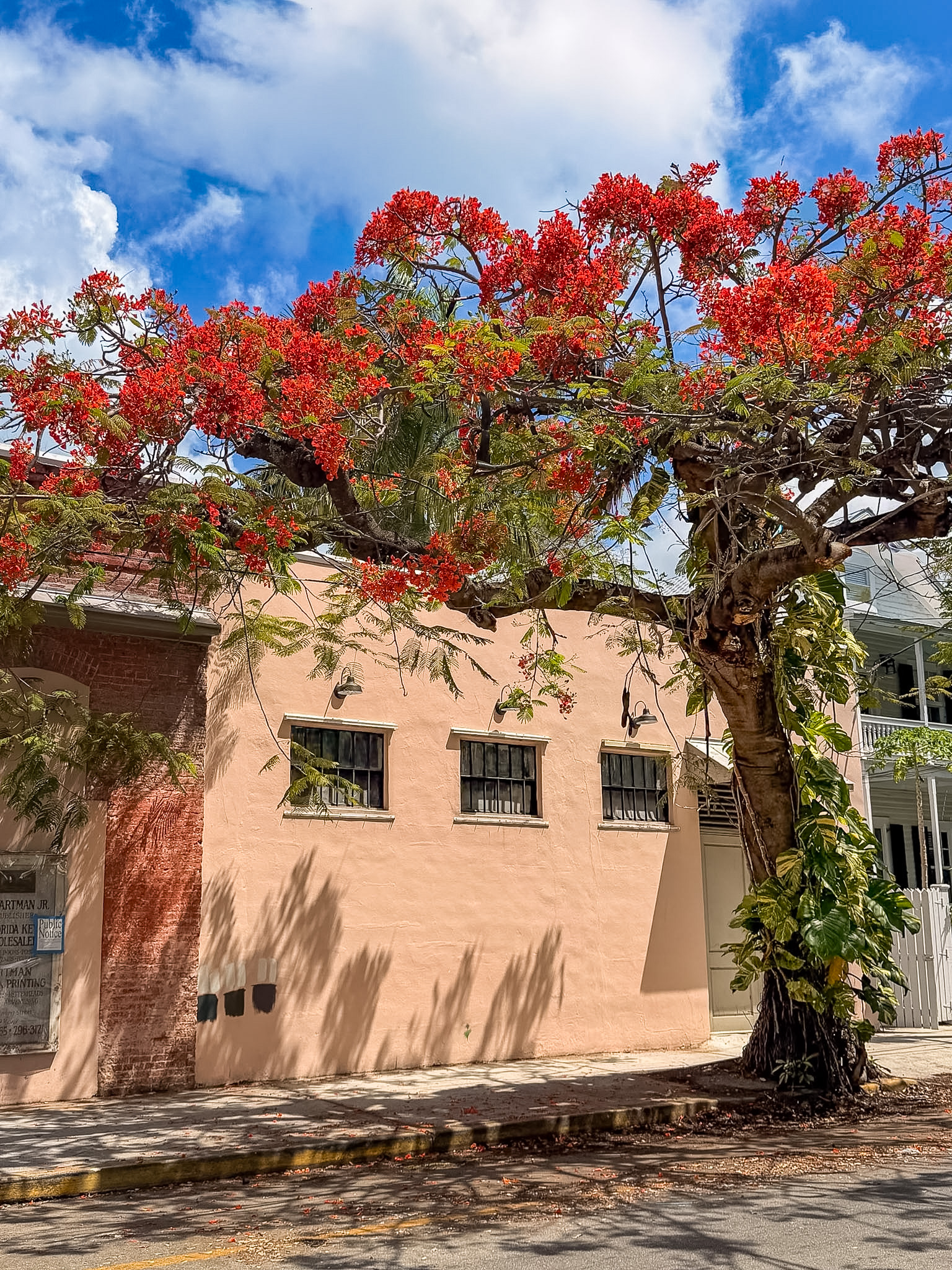 Old Town street view showing where to stay in Key West for walkability