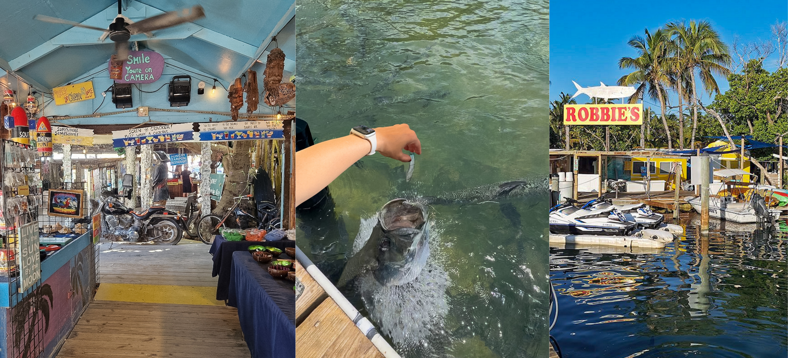 Best stops on the drive from Miami to Key West at Robbie’s Marina