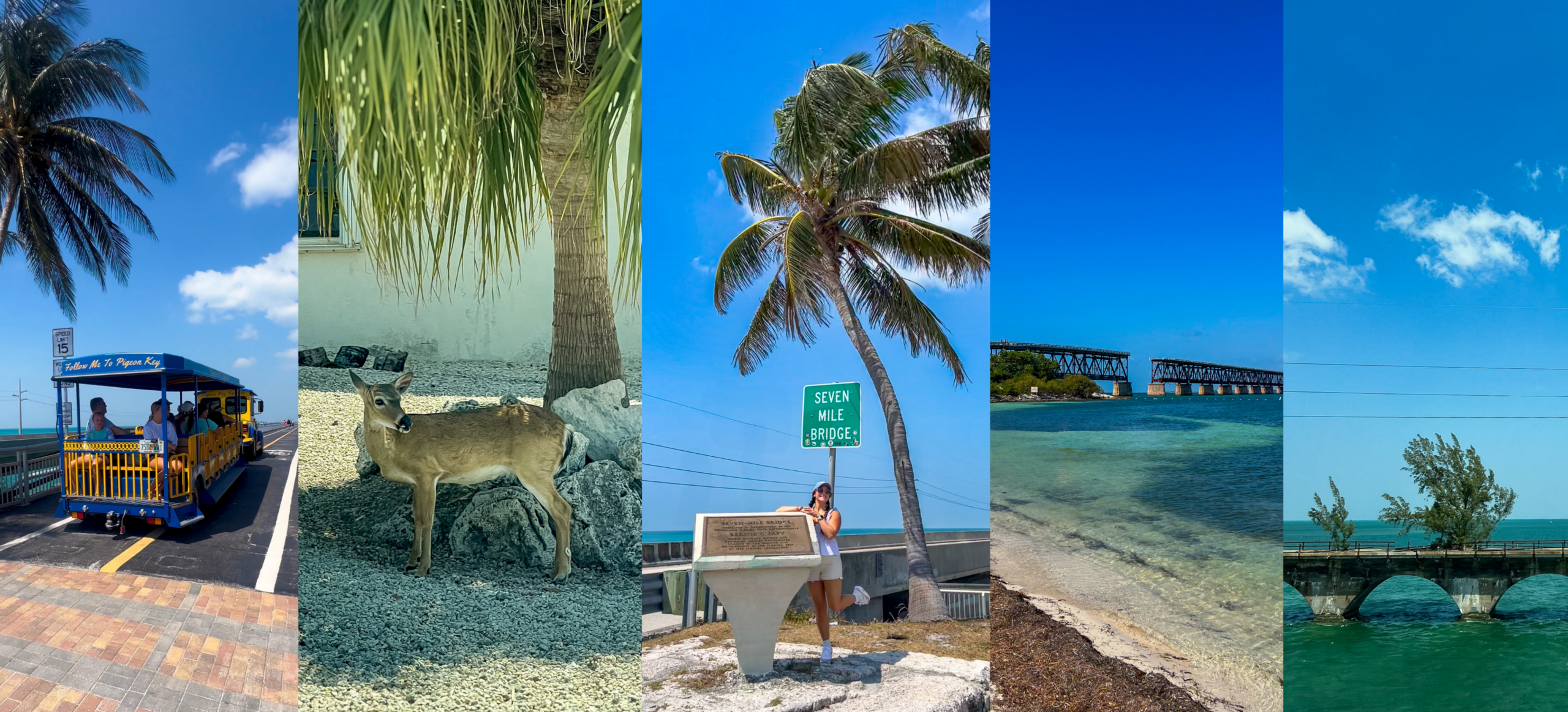 Seven Mile Bridge photo spot near the old bridge area