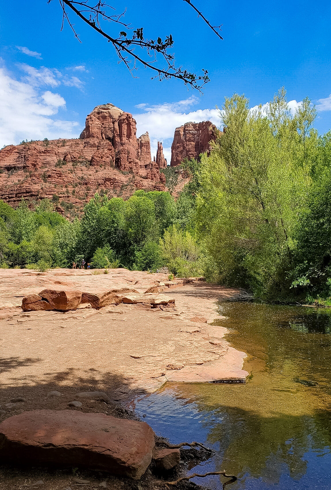 Easy hikes in Sedona along the quieter Baldwin Trail