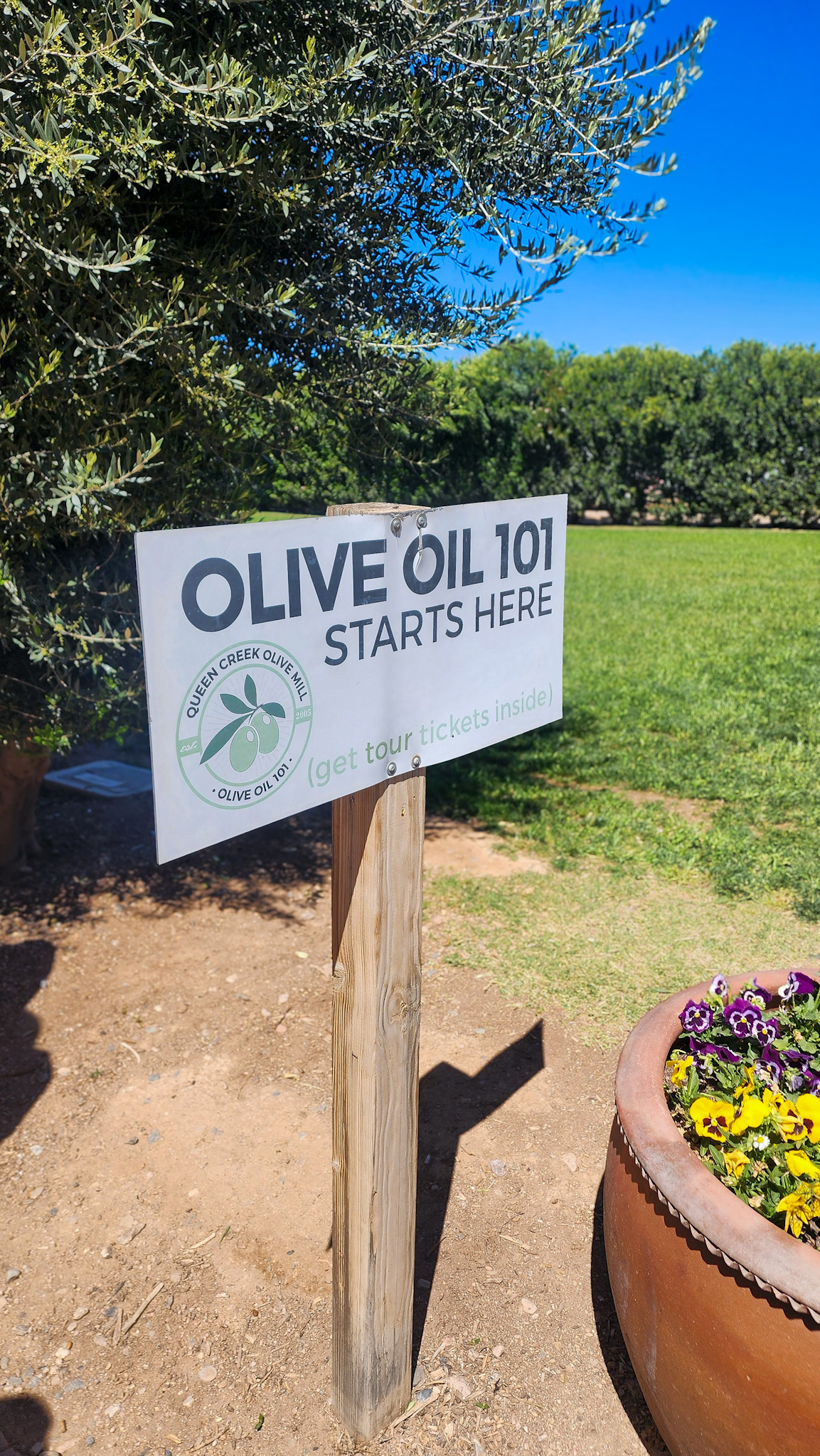 Olive oil tasting station inside the Queen Creek Olive Mill marketplace