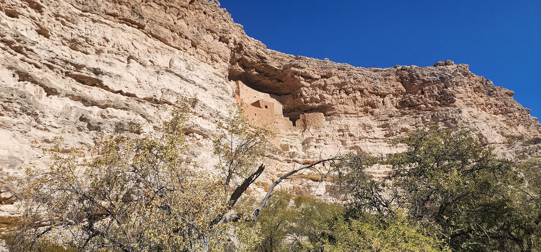Montezuma Castle Arizona cliff dwelling built into a limestone alcove above the trail