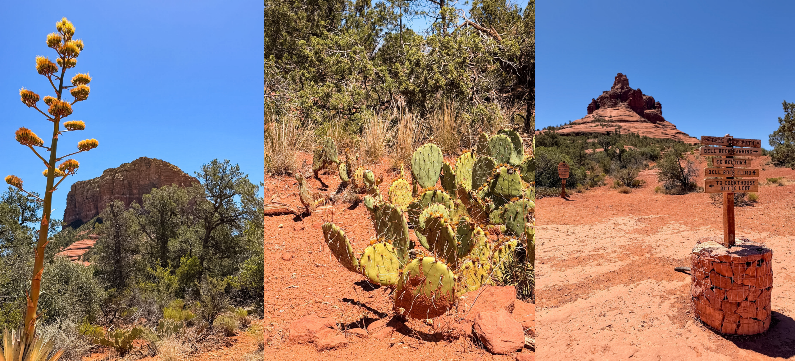 Bell Rock Trail scenery during a sunny summer afternoon in Sedona