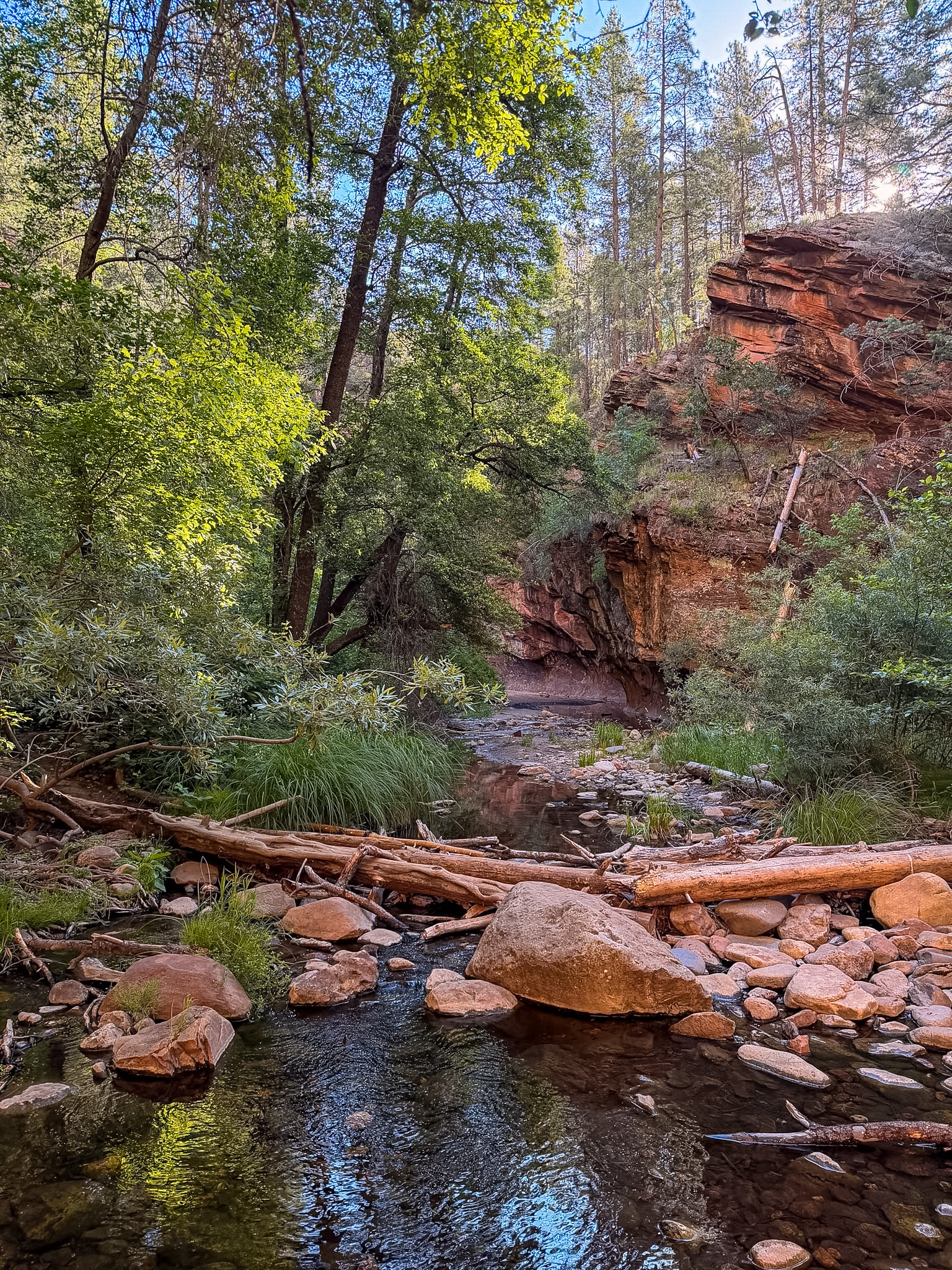 Shaded canyon walls along West Fork Trail during one day in Sedona